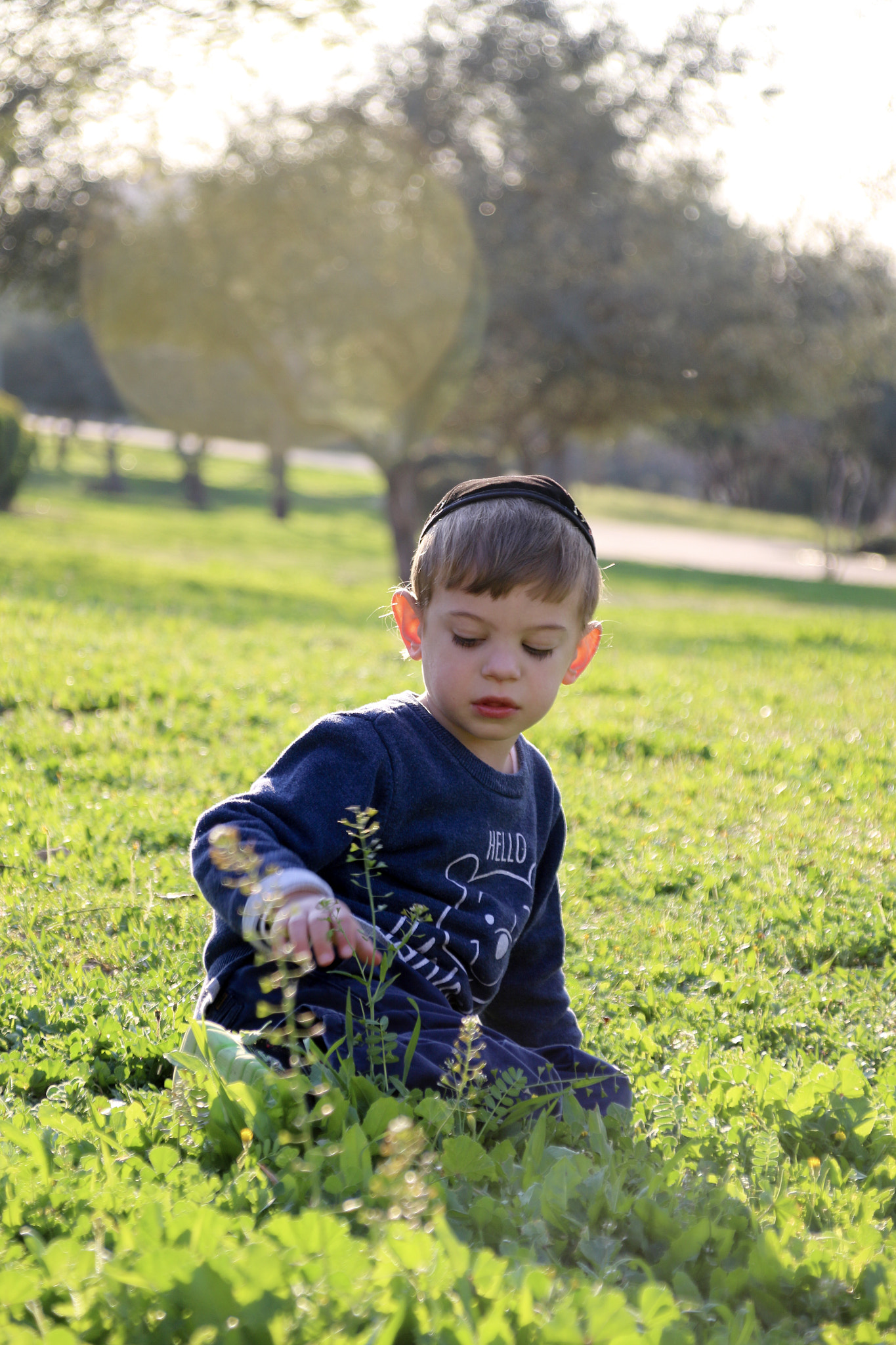 Canon EOS 70D + Canon TS-E 90mm F2.8 Tilt-Shift sample photo