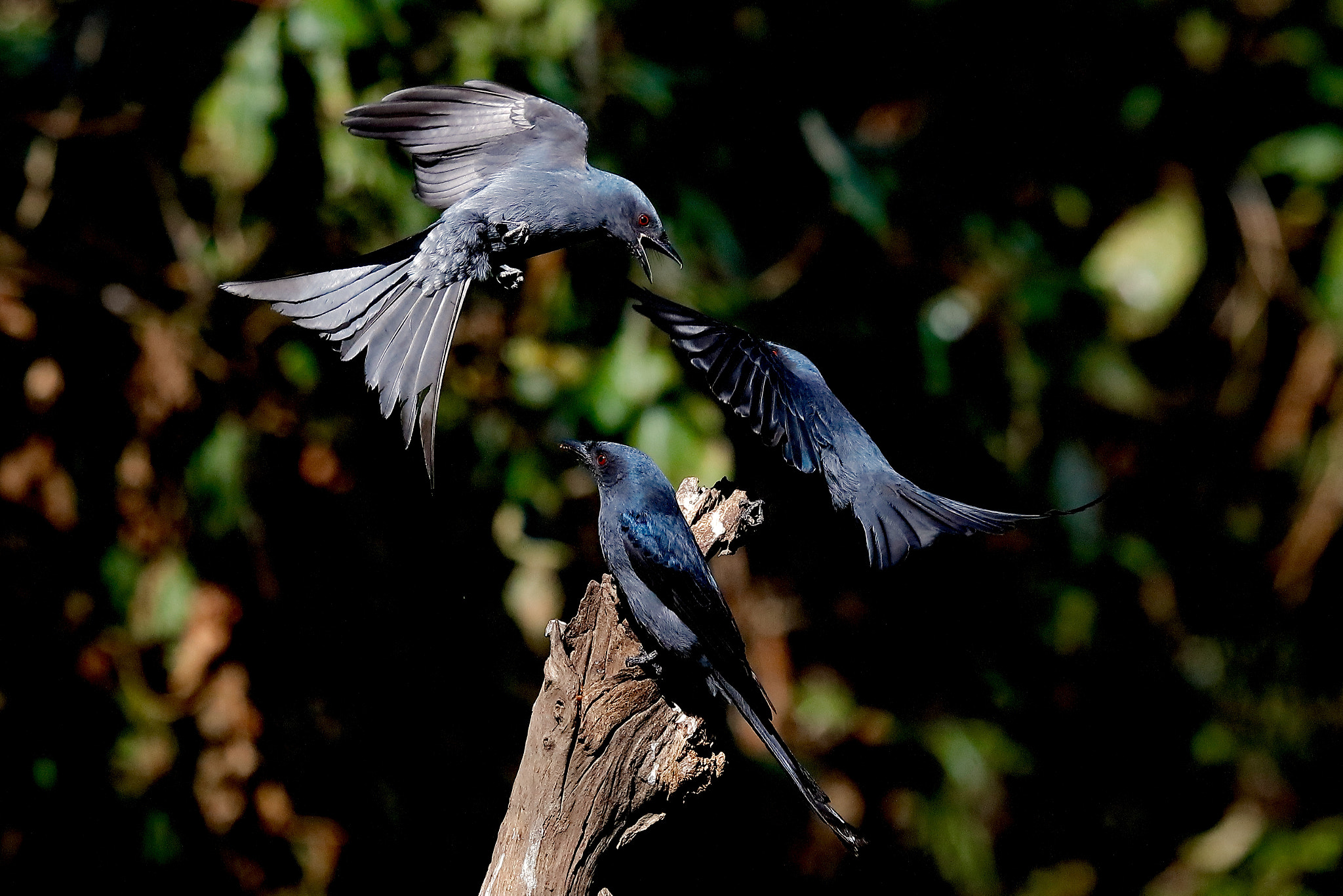 Canon EOS 5DS sample photo