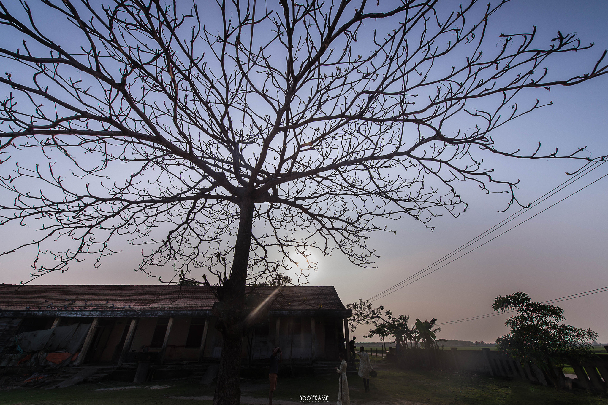 Nikon AF-S Nikkor 14-24mm F2.8G ED sample photo. Dsc photography