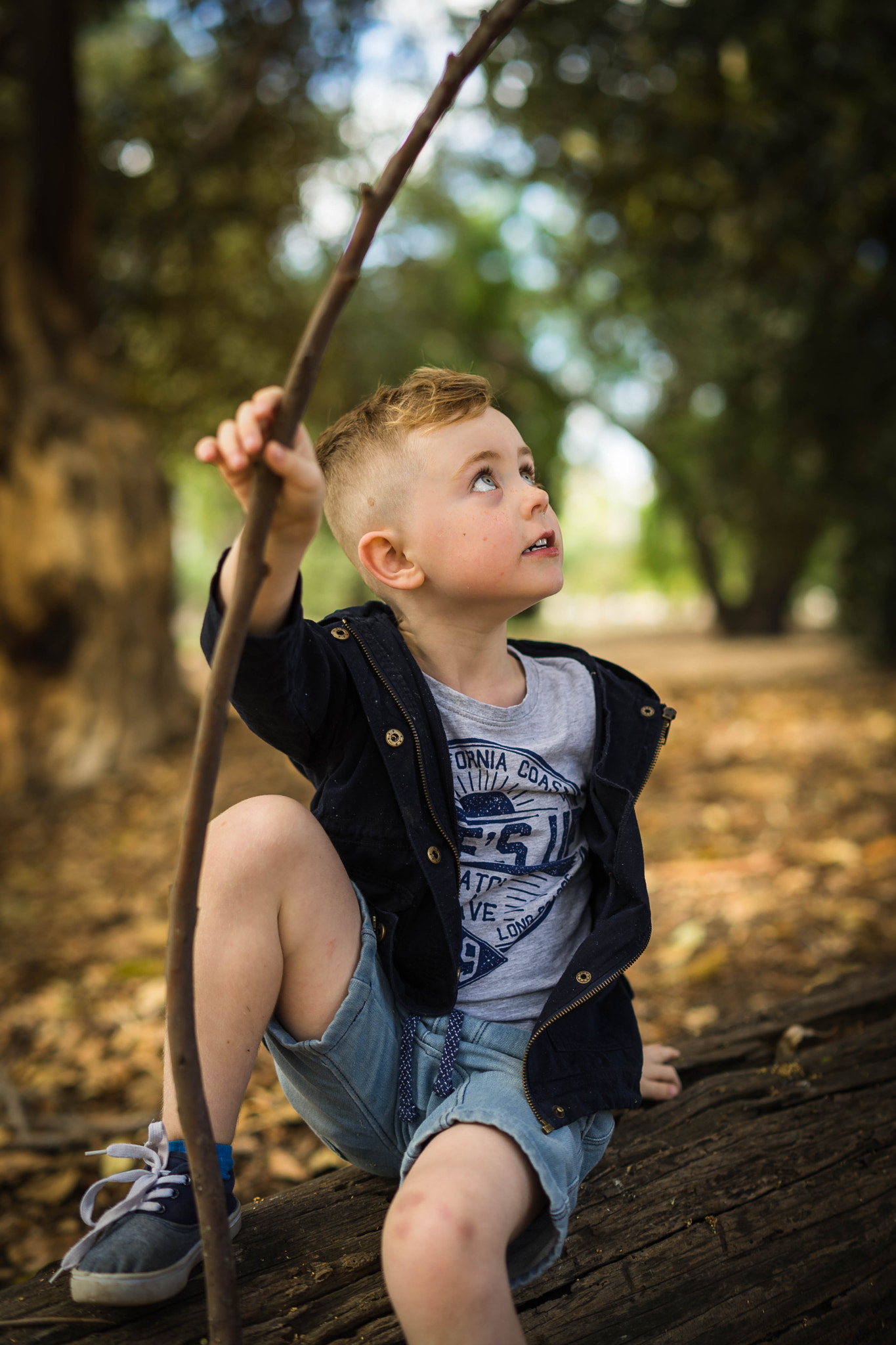 E 50mm F1.4 sample photo. Natural forrest play photography