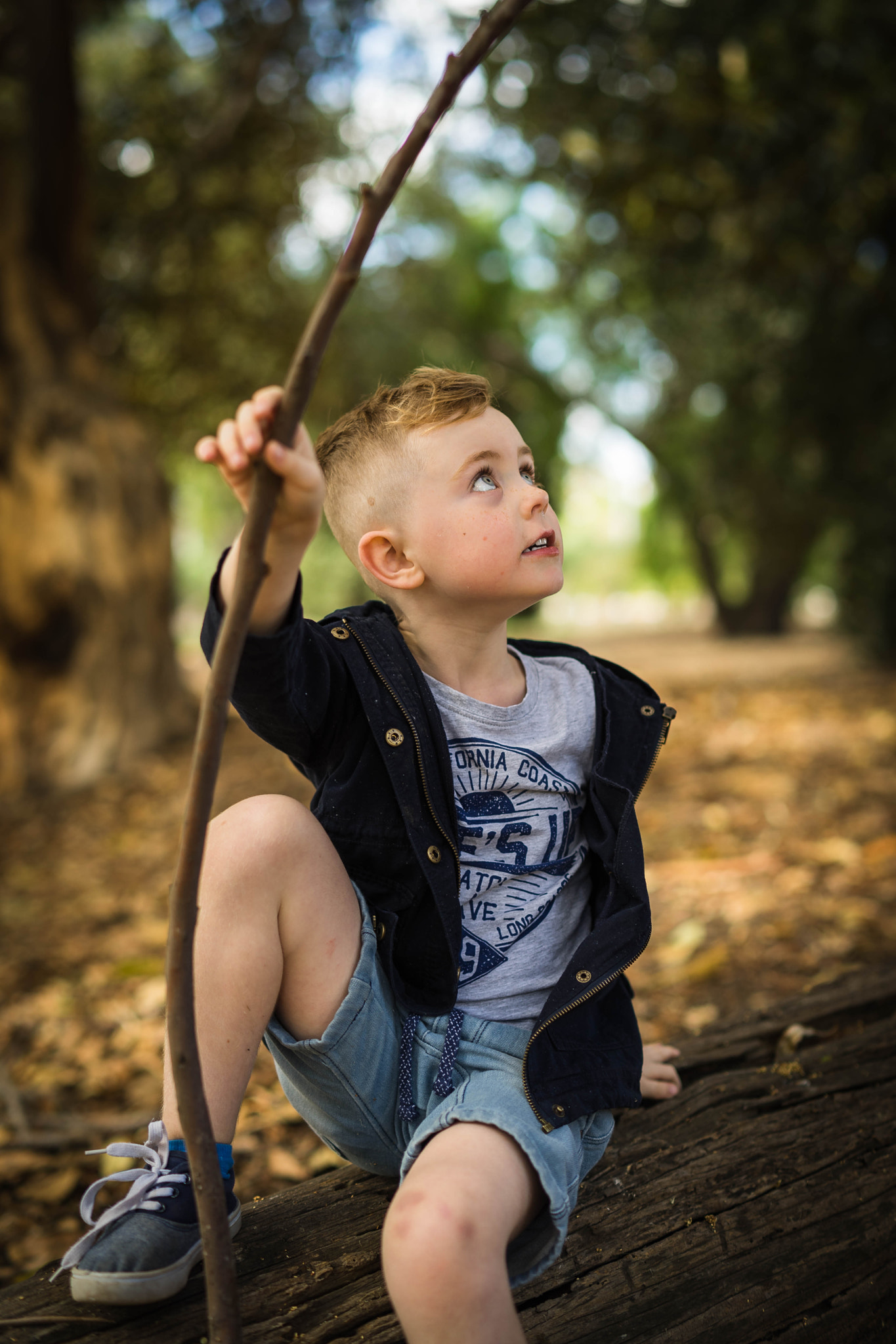 Sony a7 II + E 50mm F1.4 sample photo. Natural forrest play photography