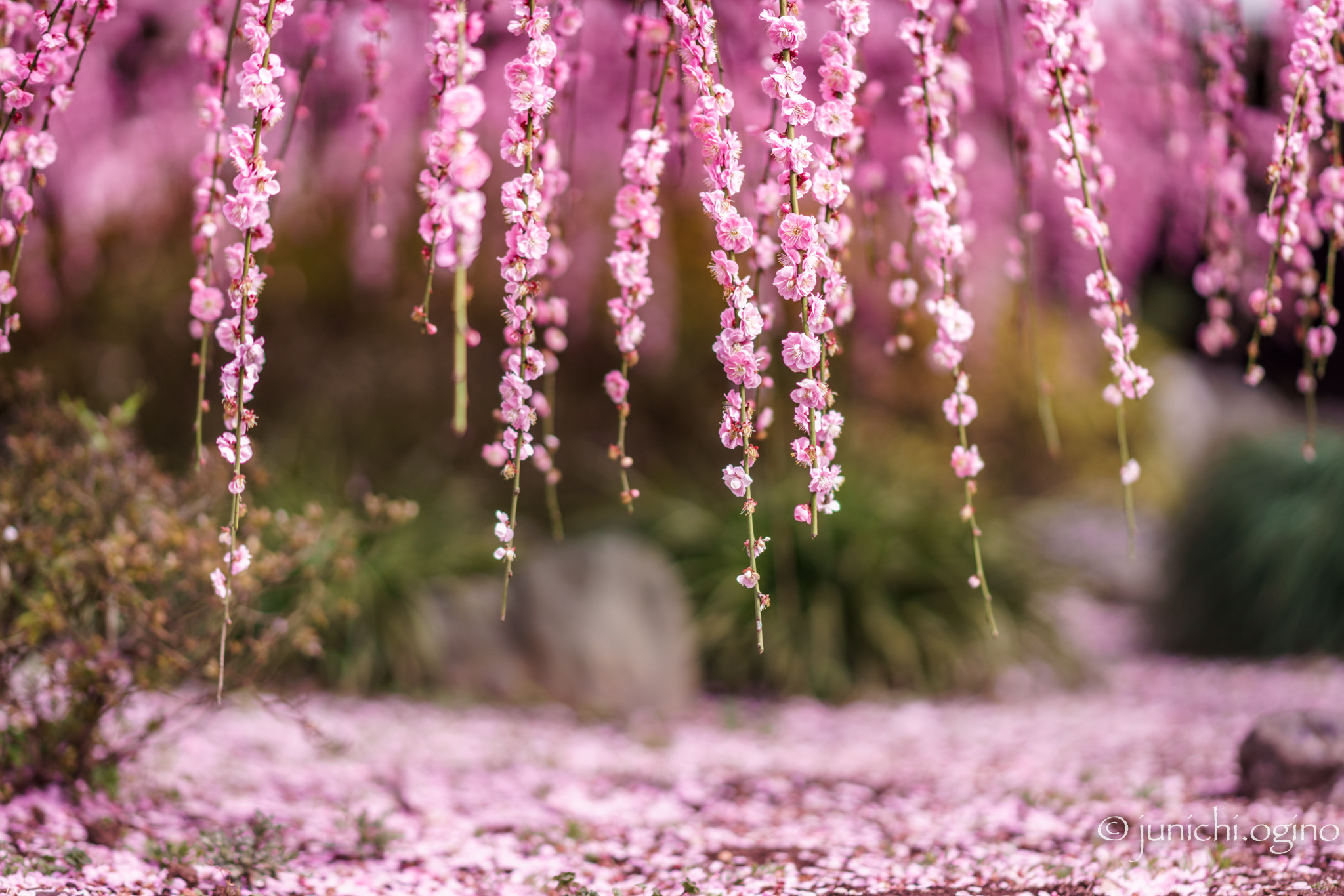 Sony Sonnar T* 135mm F1.8 ZA sample photo. Space photography