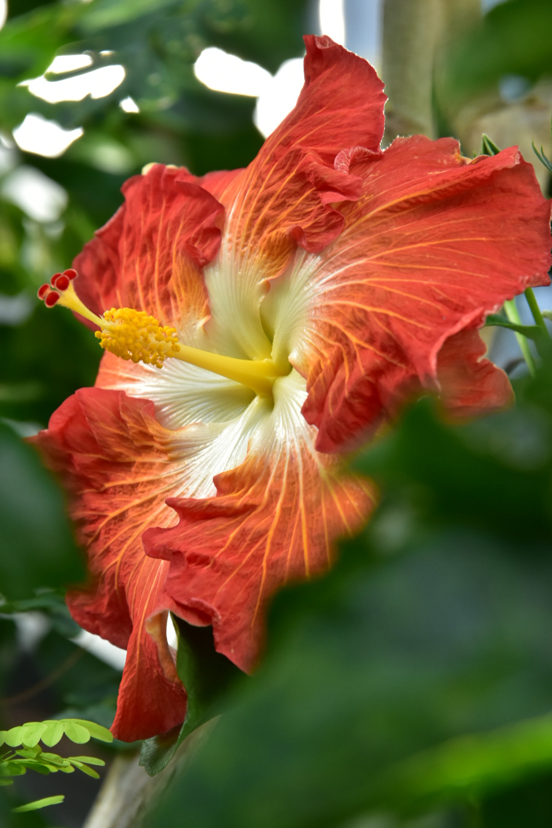 Nikon D5500 sample photo