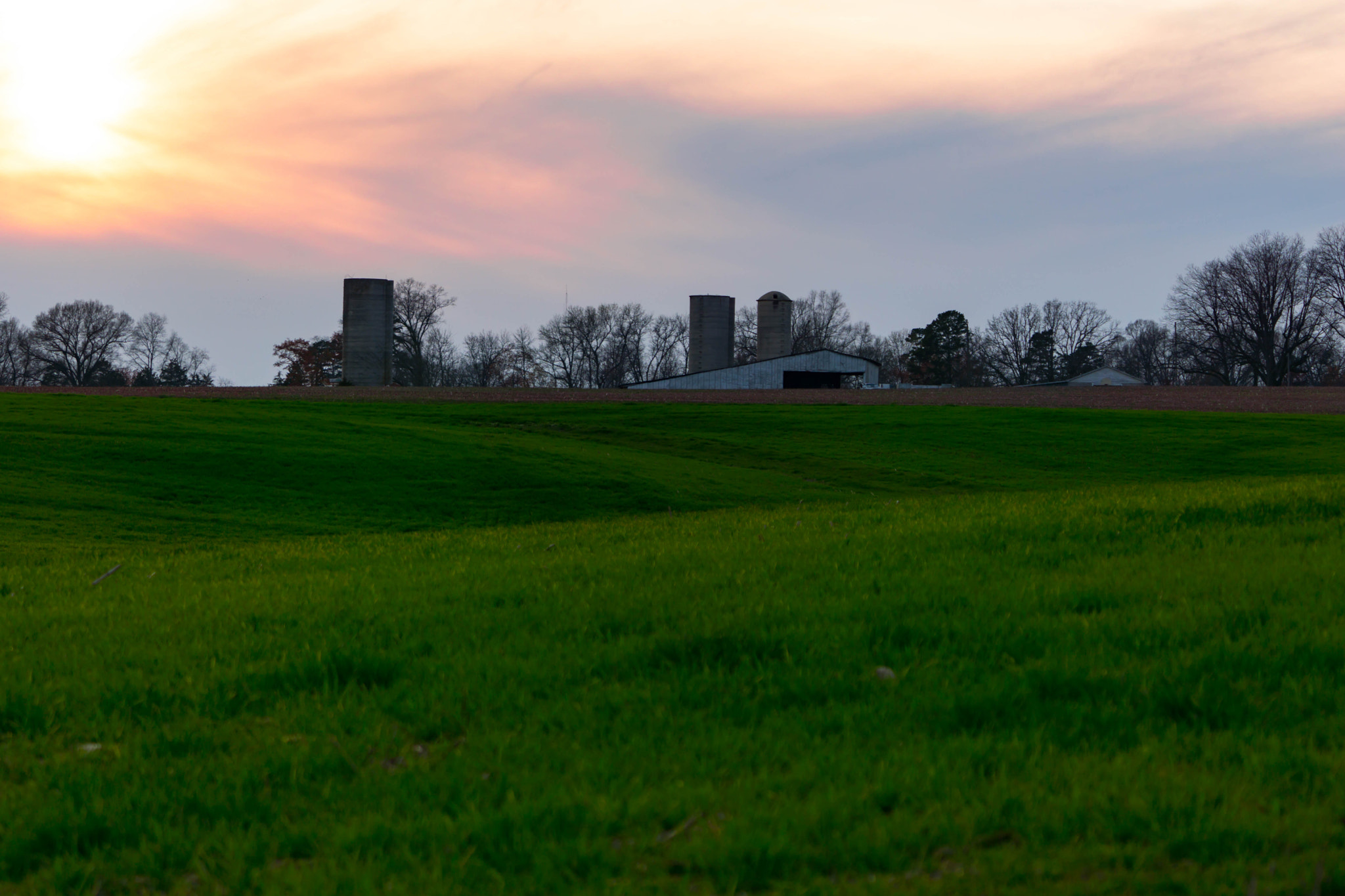 Sony a6000 + Sony FE 70-200mm F4 G OSS sample photo. Afternoon sunset photography