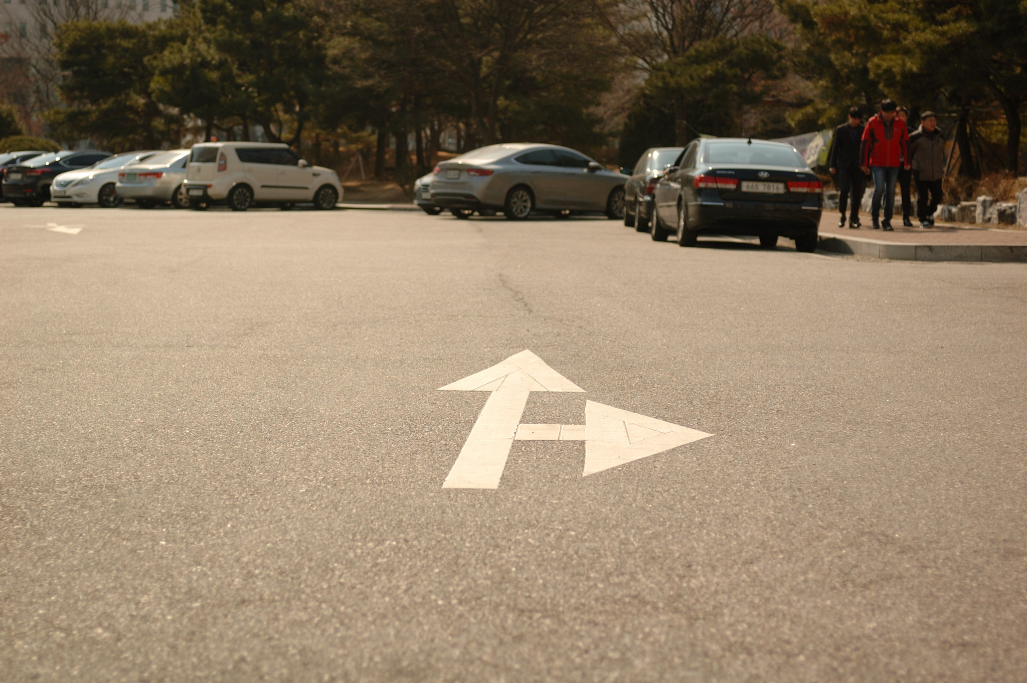 Nikon D50 + AF Zoom-Nikkor 35-70mm f/2.8D sample photo. 광교산복사본 photography