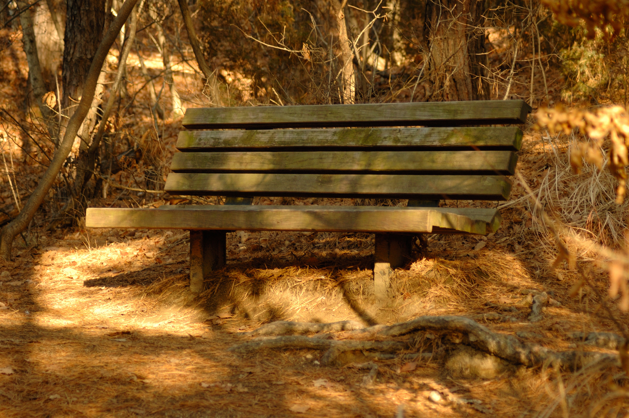 Nikon D50 sample photo. 광교산복사본 photography