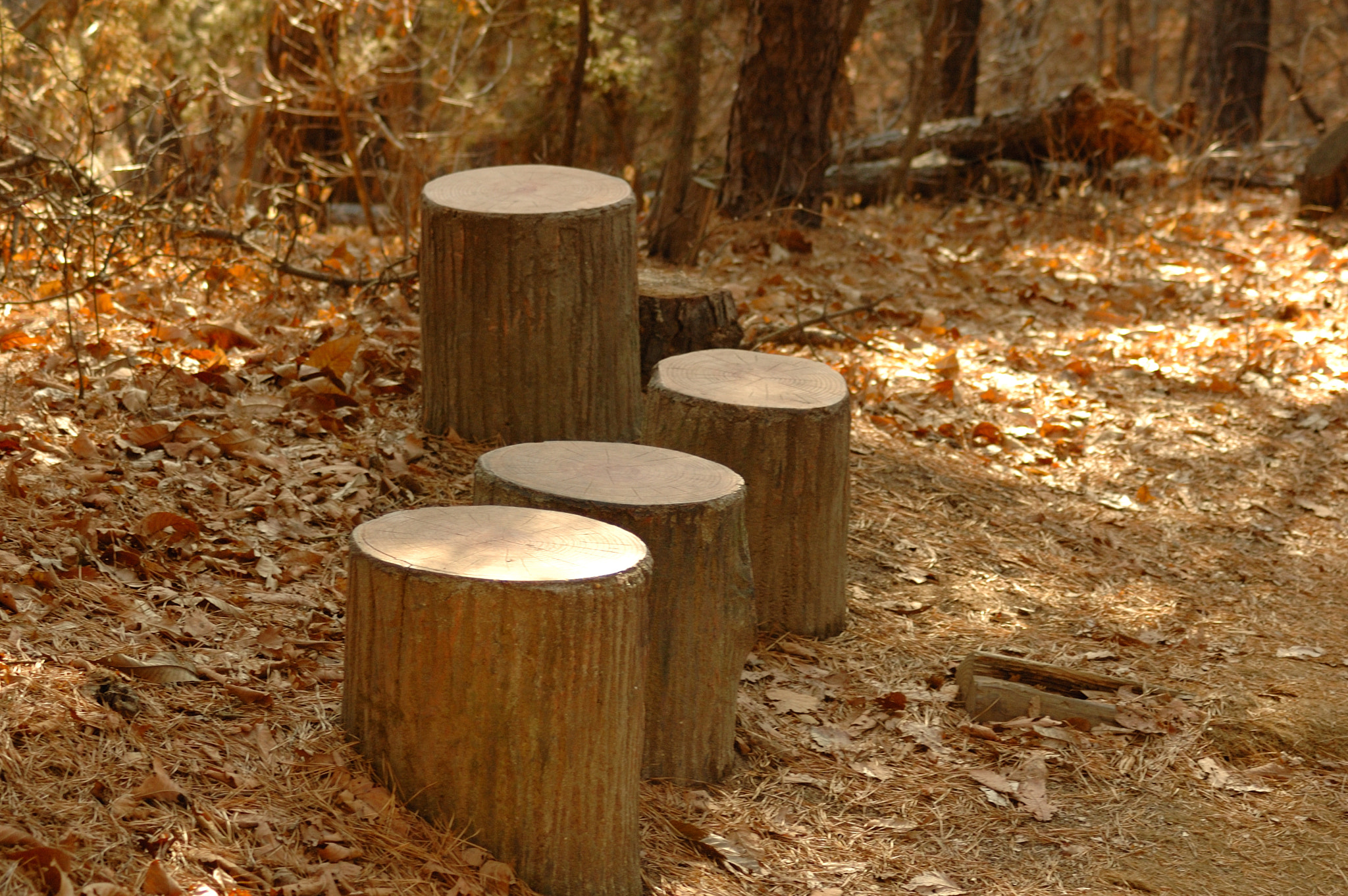 Nikon D50 sample photo. 광교산복사본 photography