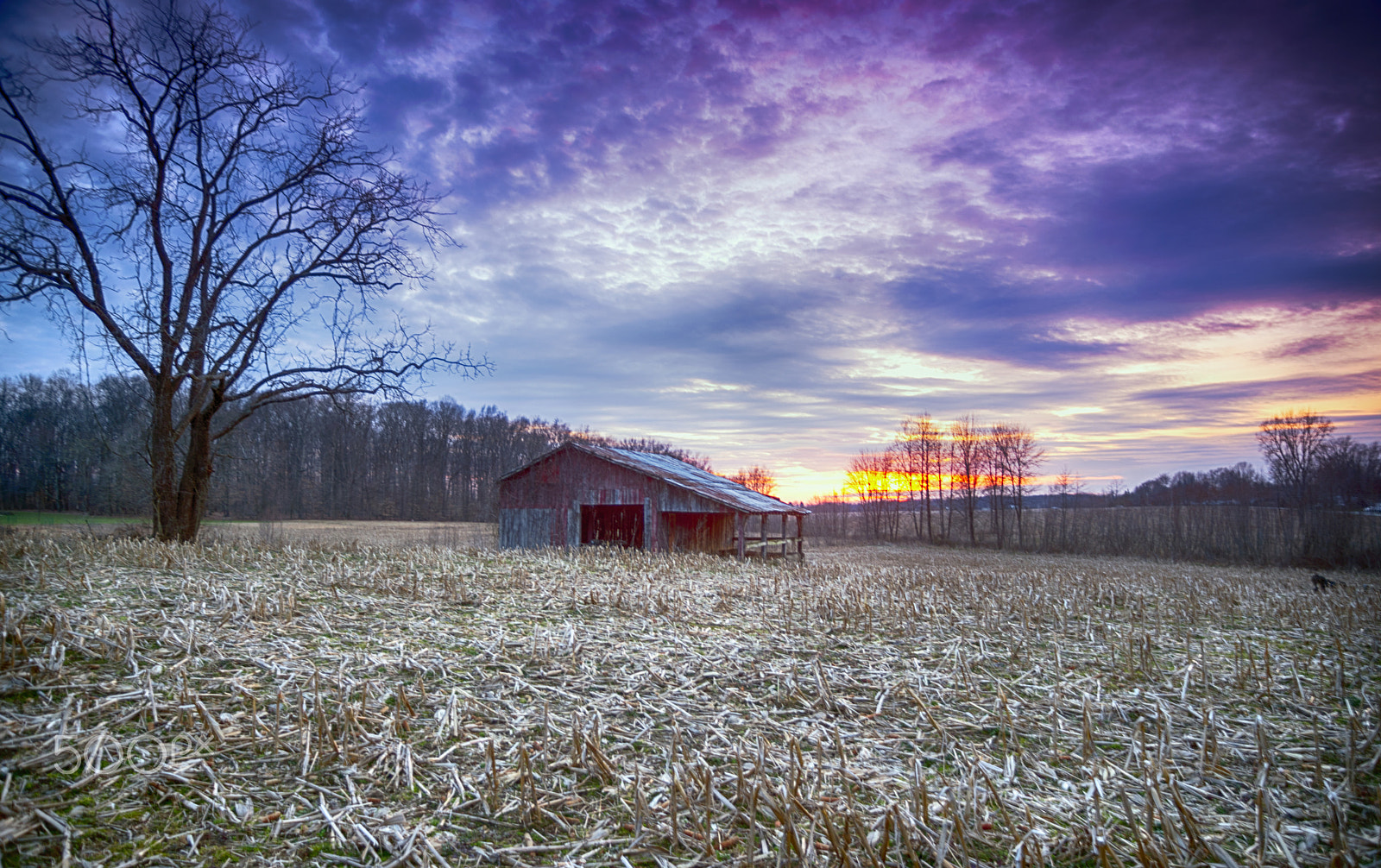 Pentax K-1 sample photo. The lonely barn photography