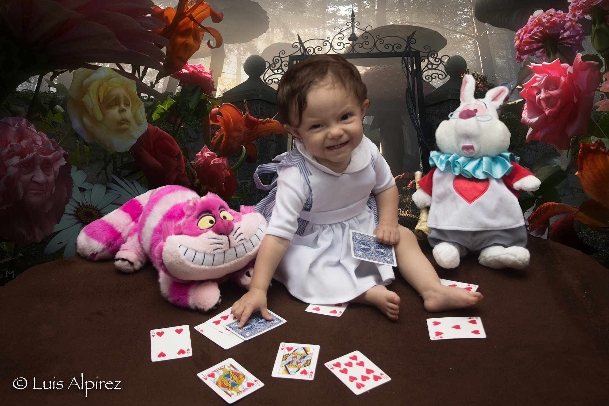 Canon EOS 60D + Canon EF-S 18-55mm F3.5-5.6 II sample photo. Baby alice in wonderland (11 months) photography