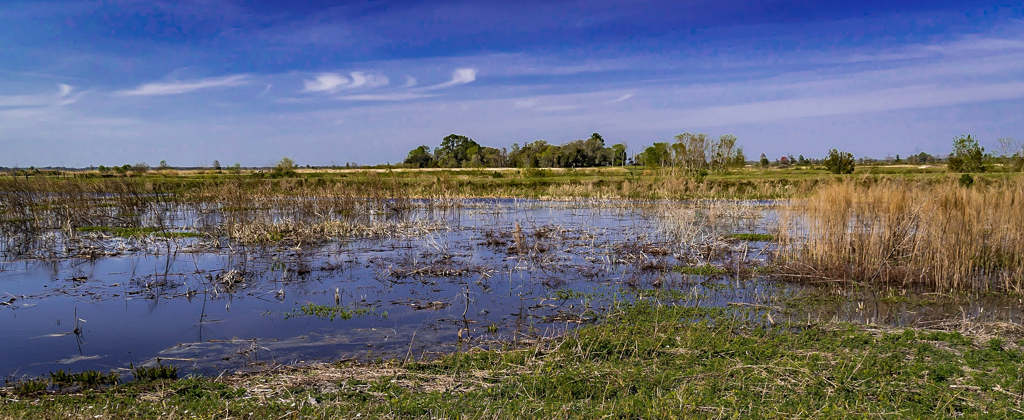 Sony a6300 + Sony E PZ 18-200mm F3.5-6.3 OSS sample photo. Savanah national wildlife preserve. photography