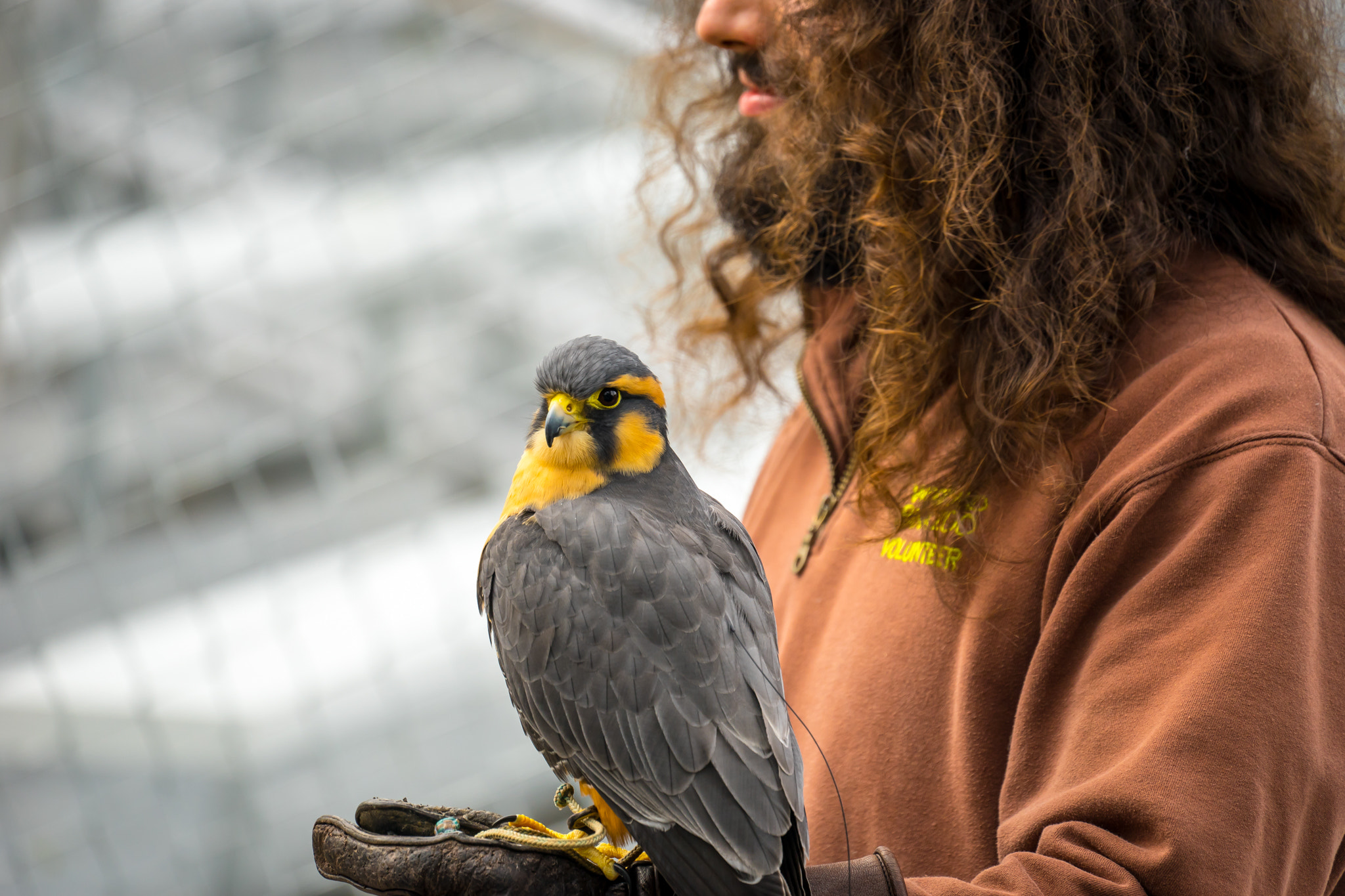 Sony a7 II sample photo. Seattle's woodland park zoo photography