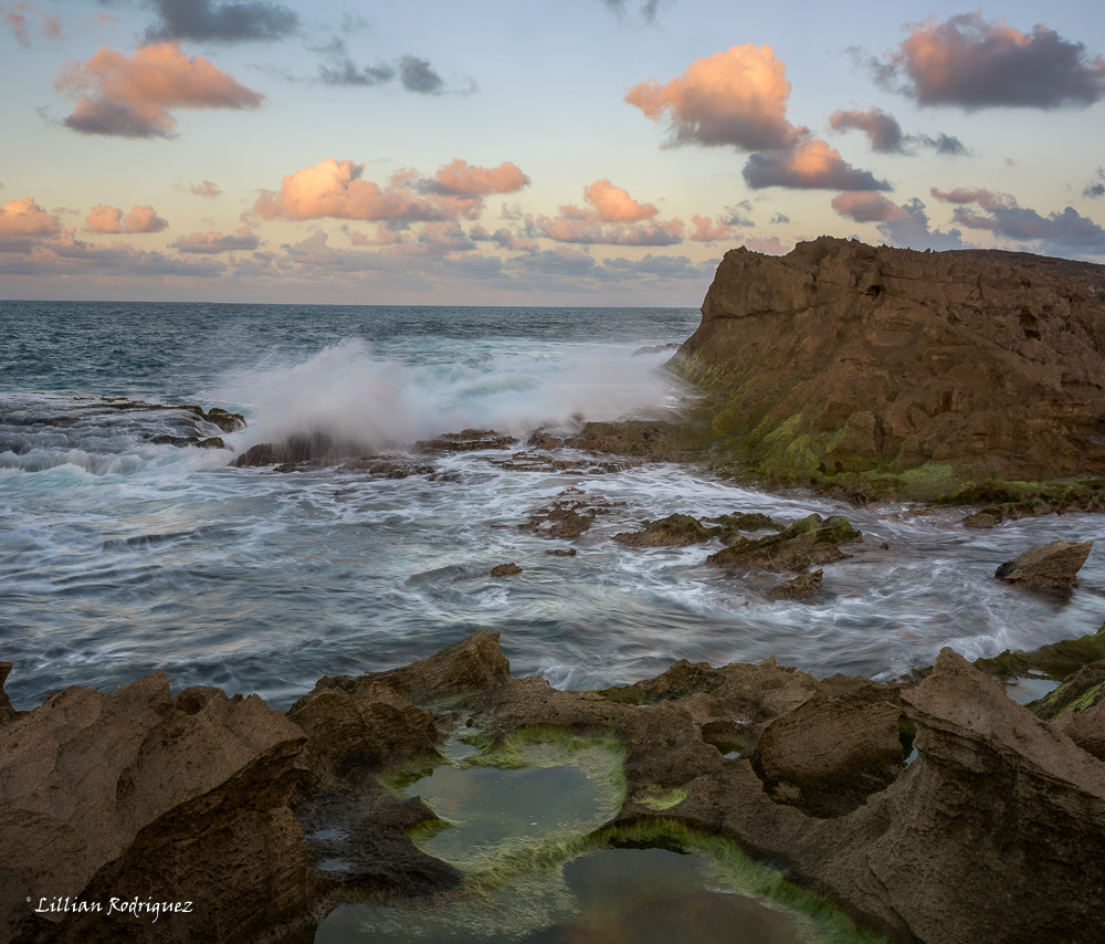 Nikon D810 + Nikon AF-S Nikkor 17-35mm F2.8D ED-IF sample photo. Vega baja photography