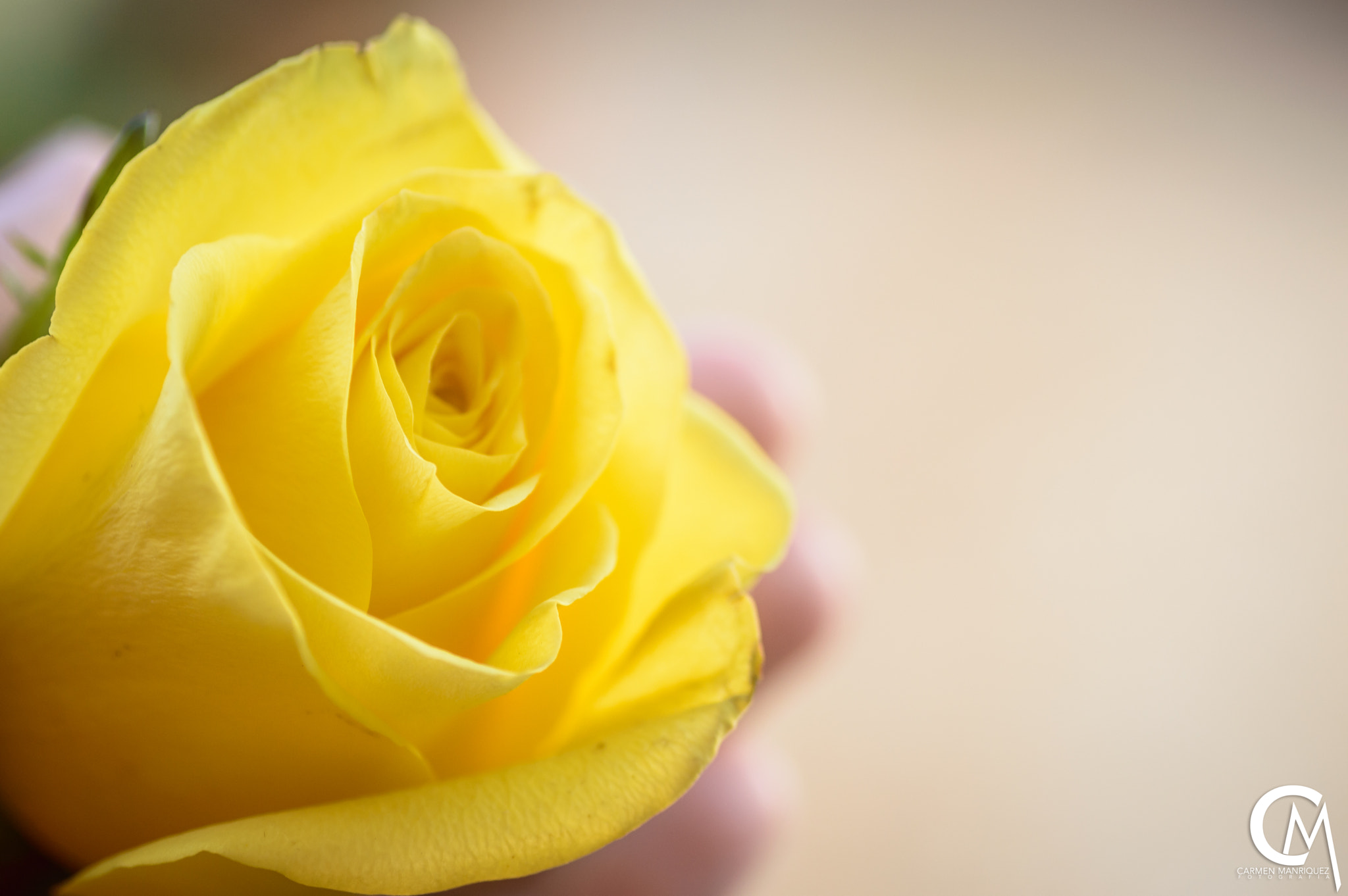 Nikon D3200 sample photo. Corazon photography