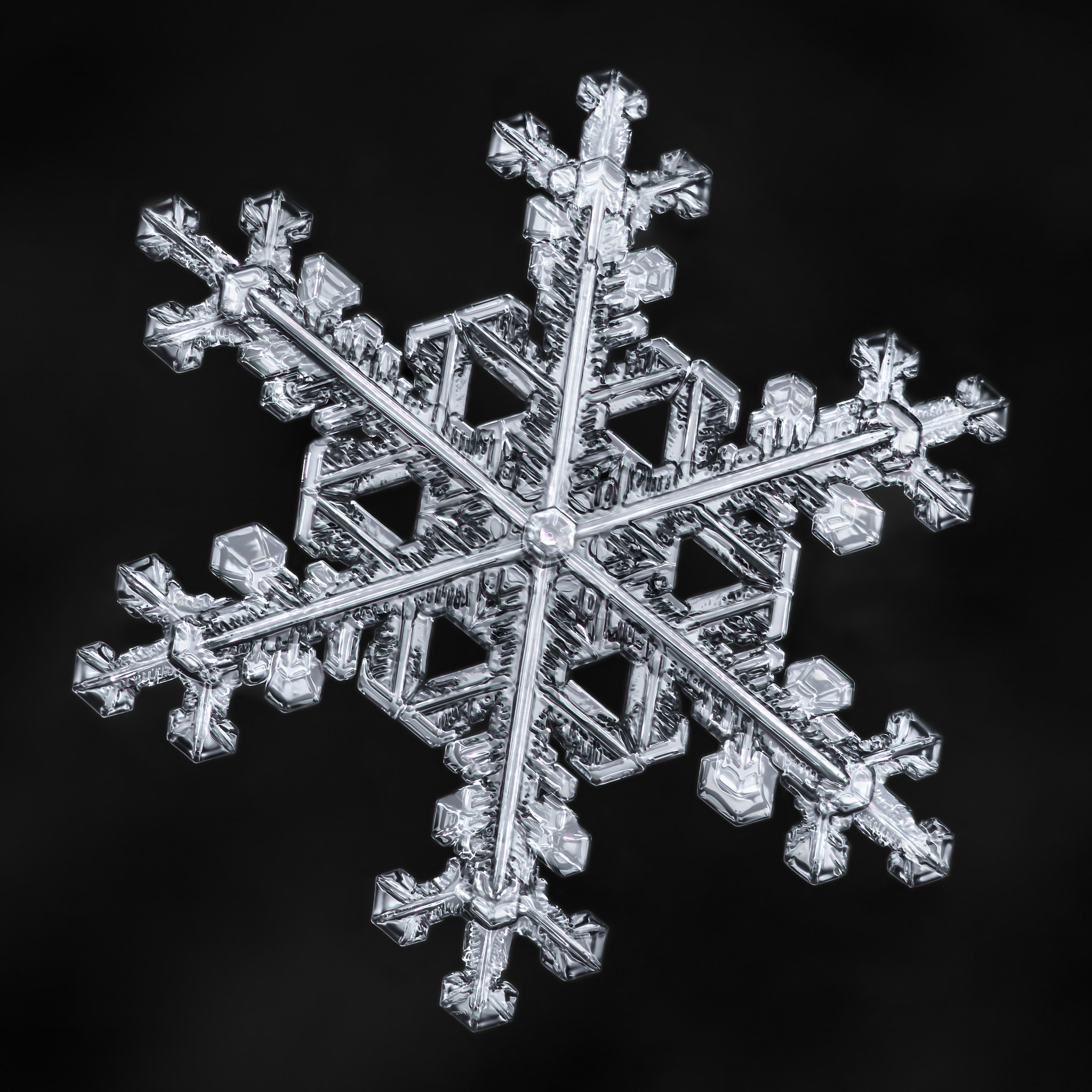 Canon MP-E 65mm F2.5 1-5x Macro Photo sample photo. Snowflake-a-day #61 photography