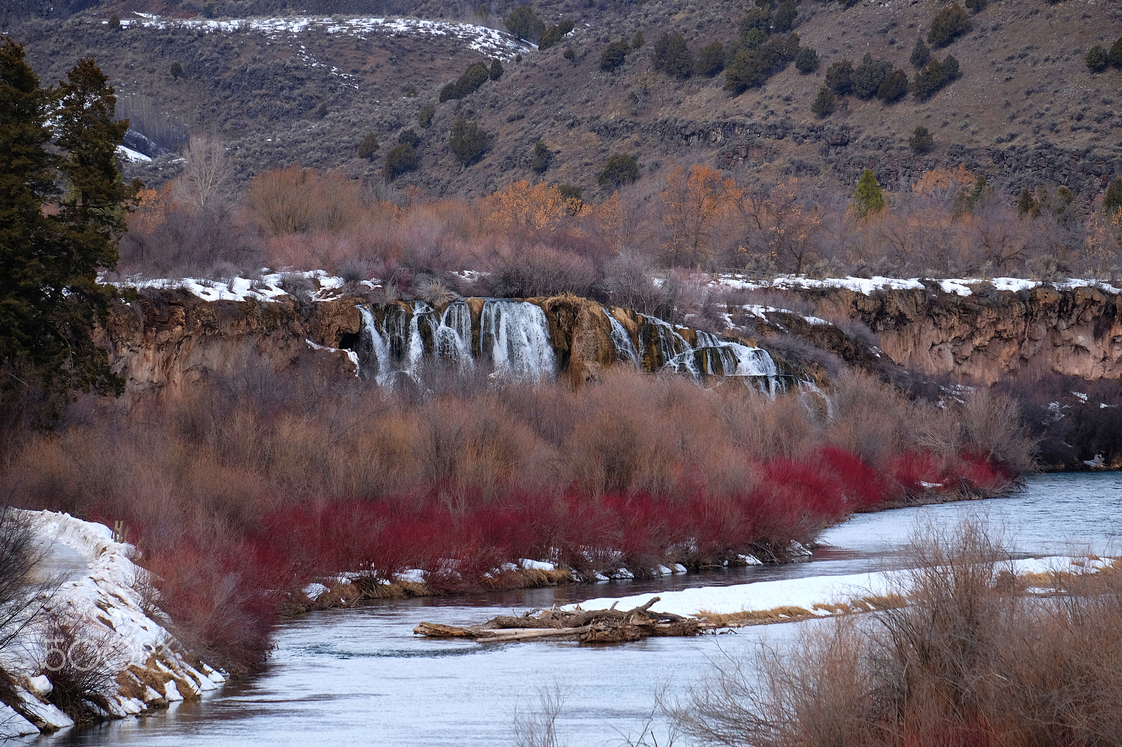 Fujifilm XF 55-200mm F3.5-4.8 R LM OIS sample photo. Swan valley photography