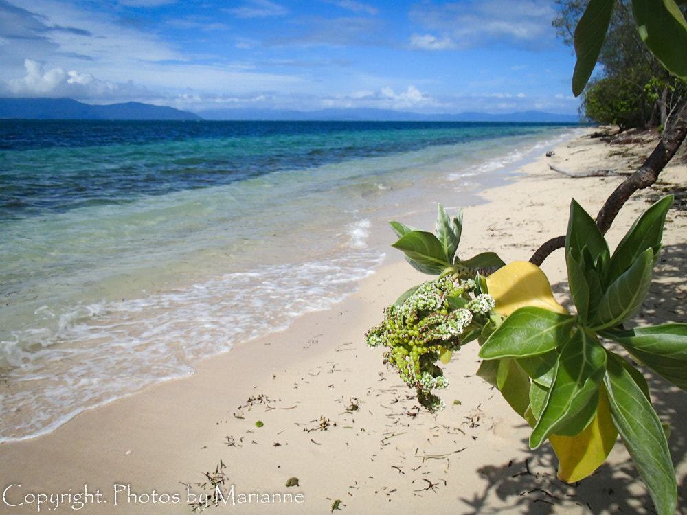 Olympus TG-820 sample photo. Green island beach photography