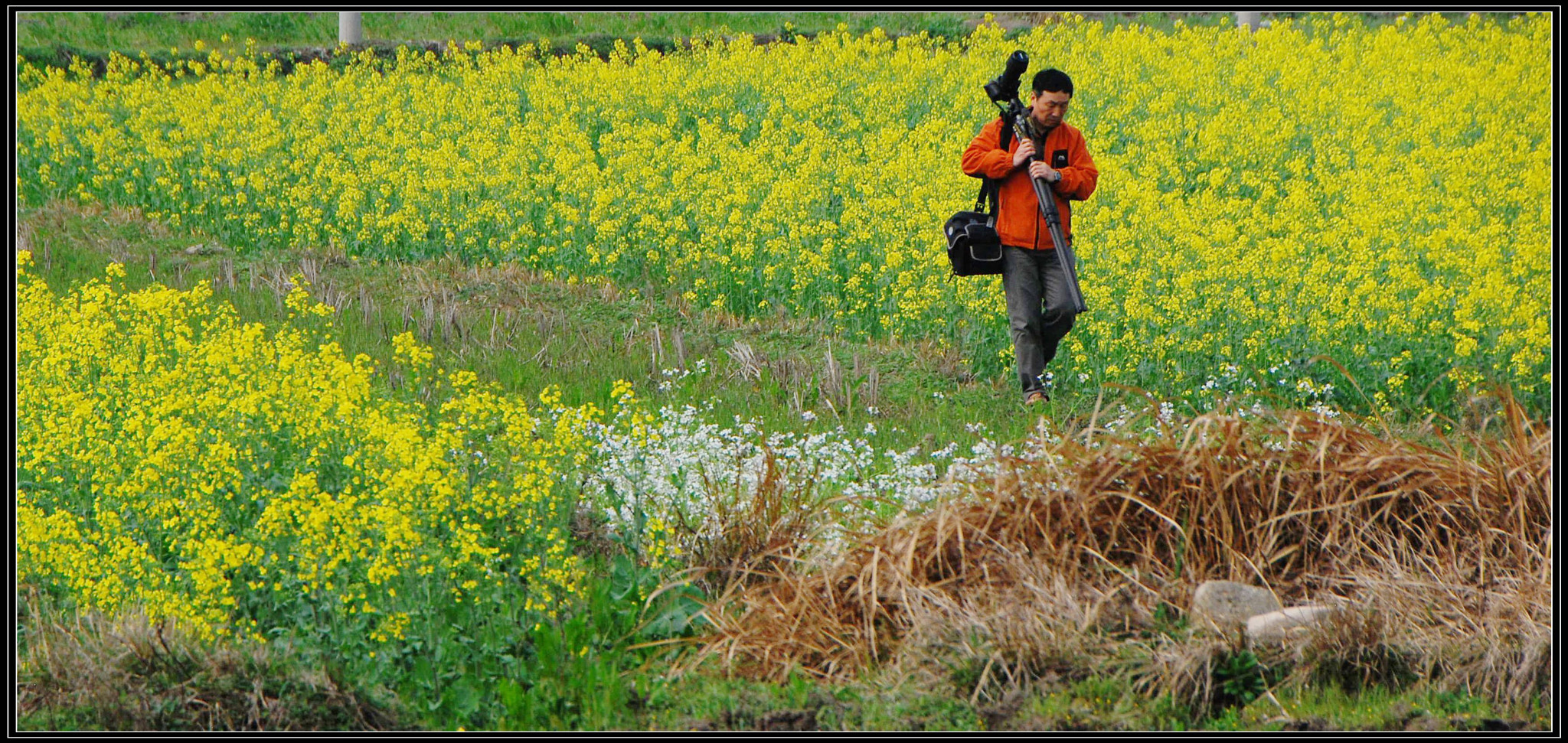 Nikon D80 sample photo. Photographer photography