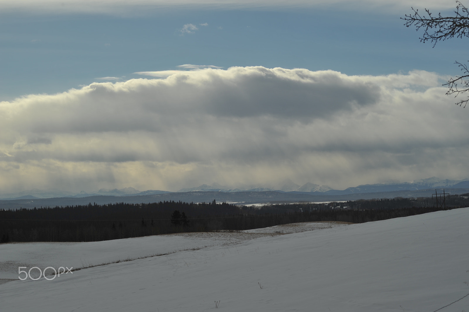 Manual Lens No CPU sample photo. Overcast photography