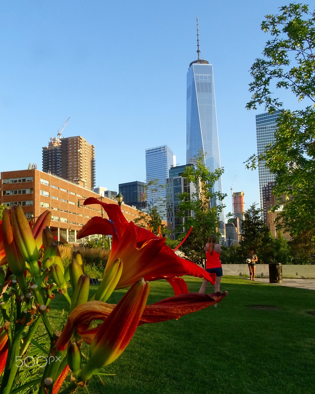 Sony 24-210mm F2.8-6.3 sample photo. Freedom tower w flowers photography