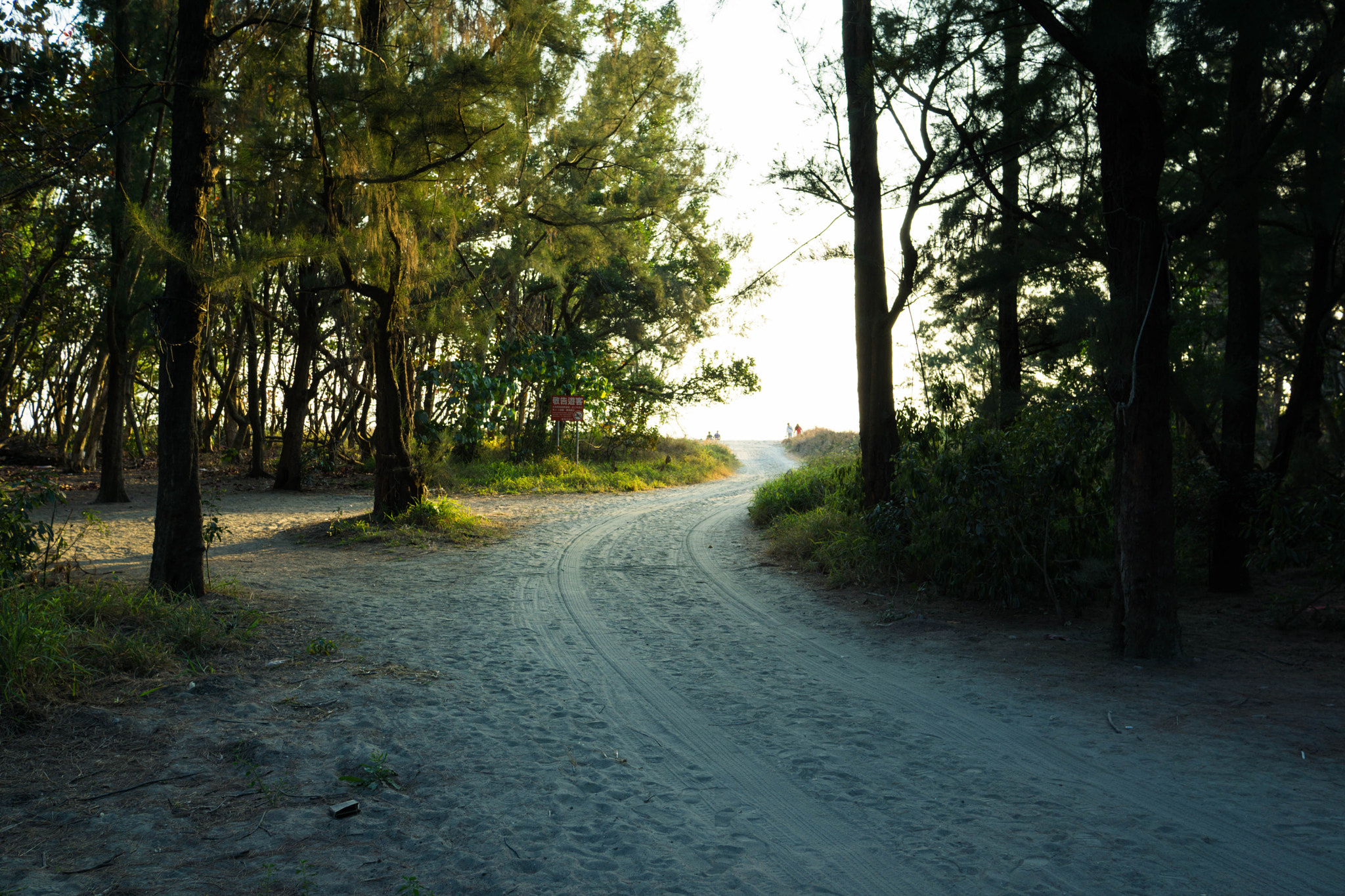 Sony Sonnar T* E 24mm F1.8 ZA sample photo. Pace photography