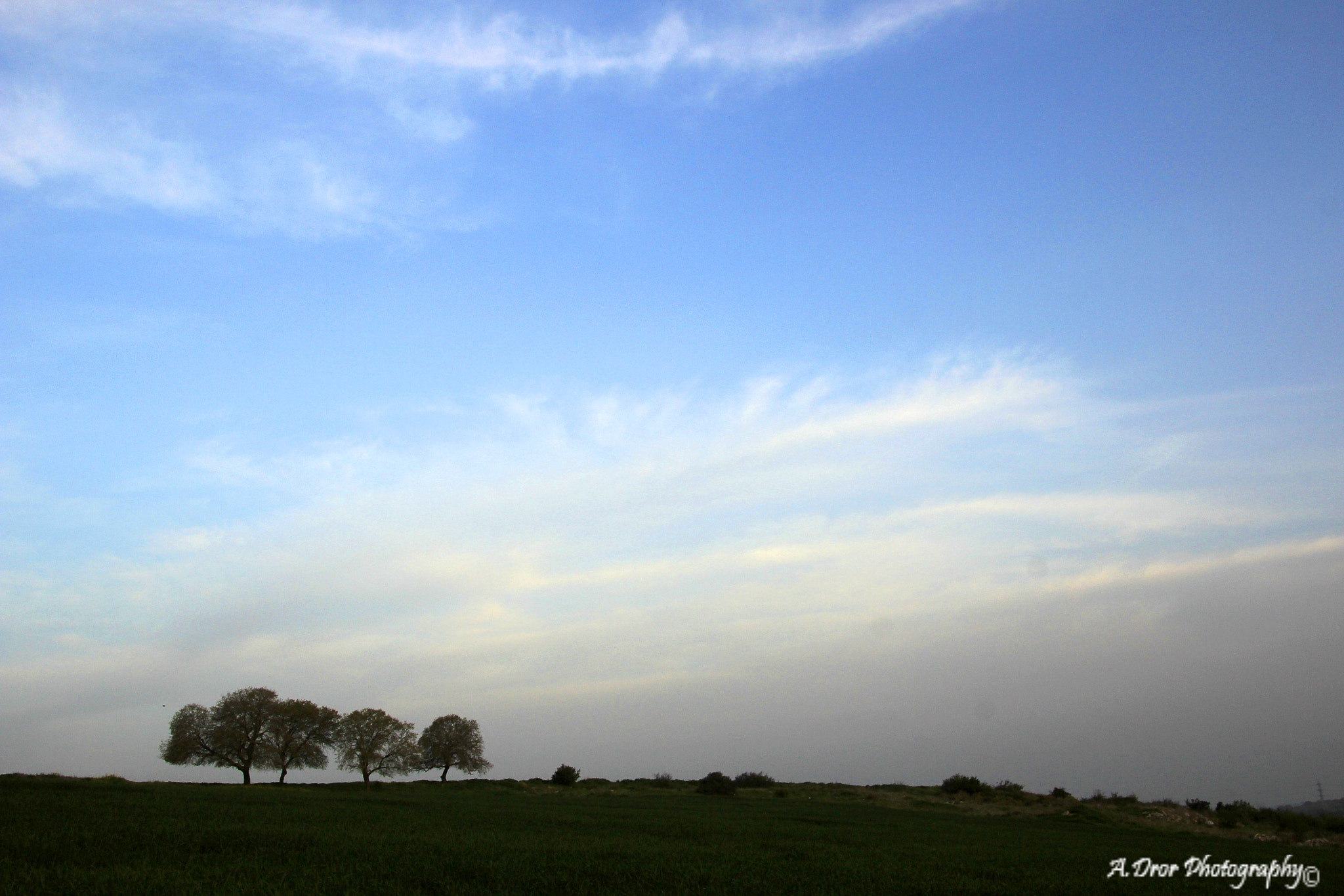 Canon EOS 600D (Rebel EOS T3i / EOS Kiss X5) sample photo. Lost in a dream  photography