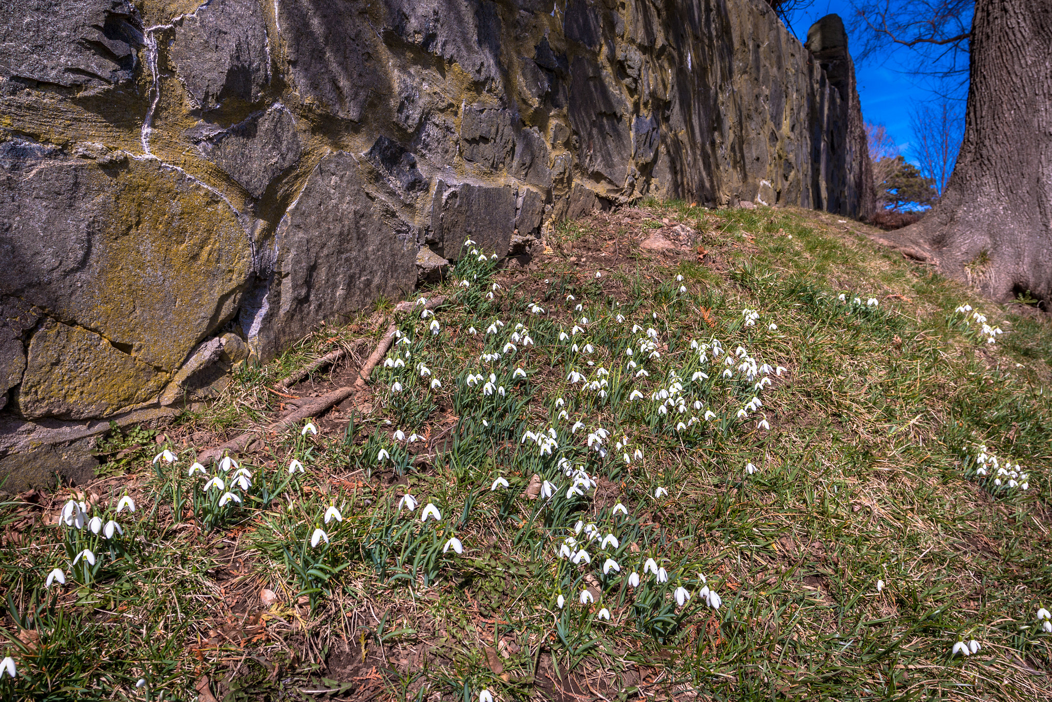 Canon EOS 70D + Canon EF 17-40mm F4L USM sample photo. Fort sewall, marblehead, ma photography
