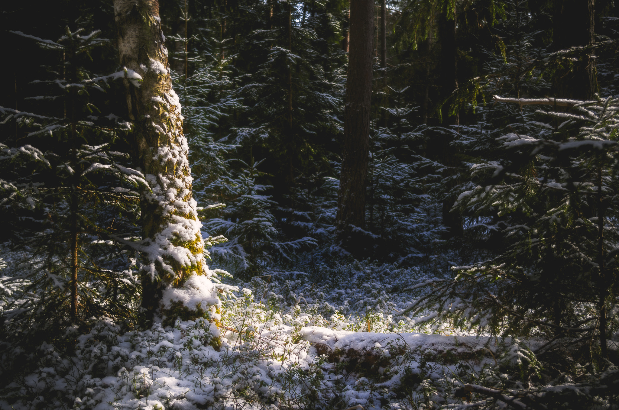 Pentax K-30 sample photo. A tranquil winter scene photography