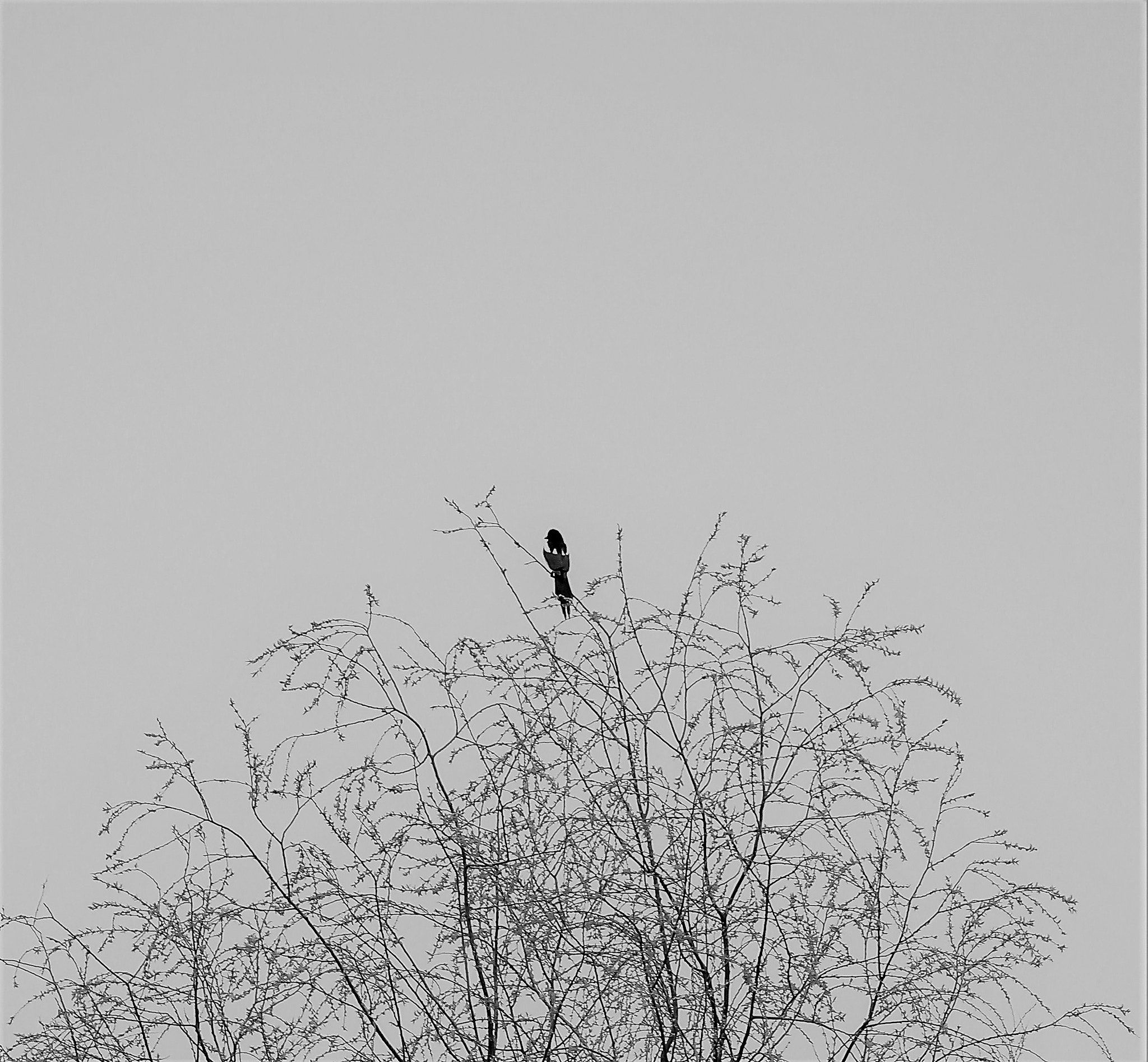 Canon EF-S 55-250mm F4-5.6 IS STM sample photo. Img photography