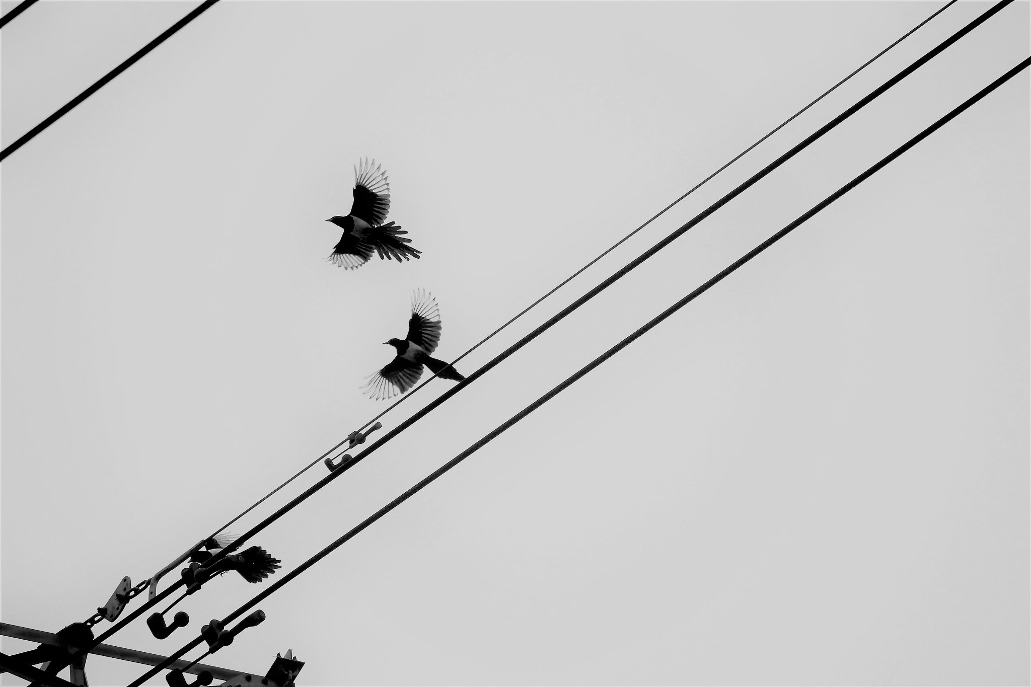 Canon EF-S 55-250mm F4-5.6 IS STM sample photo. Xi'que photography
