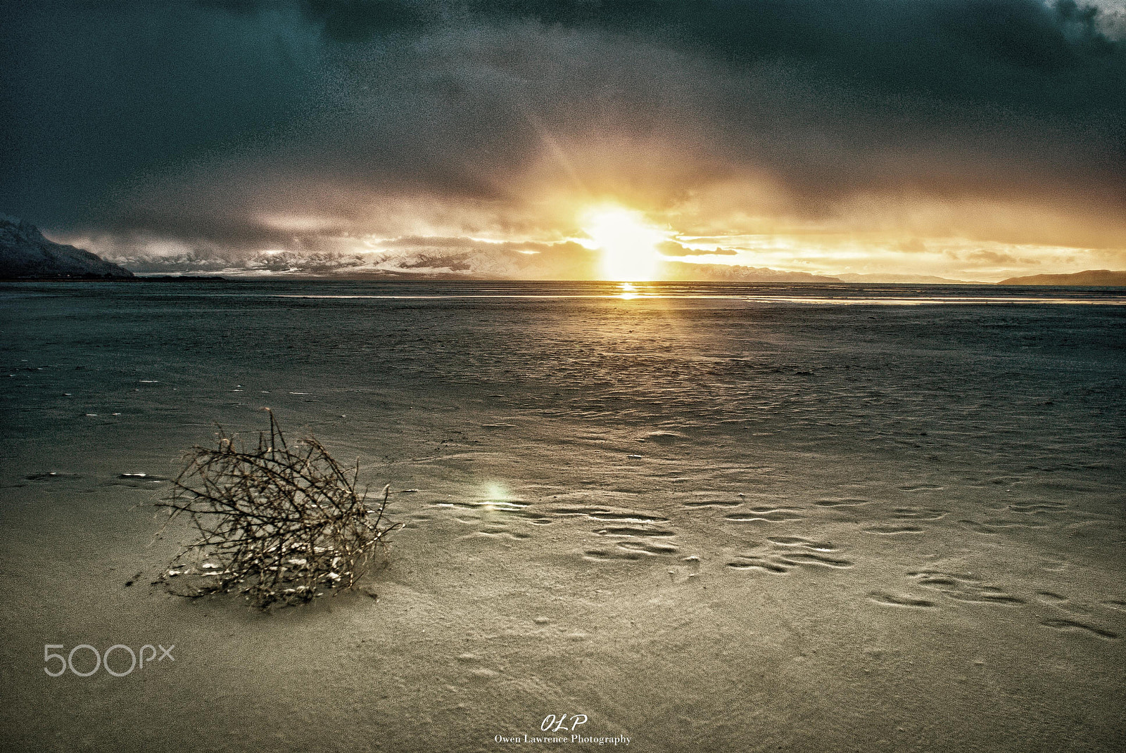 Nikon D80 + Nikon AF Nikkor 20mm F2.8D sample photo. Tumbleweed at sunset photography