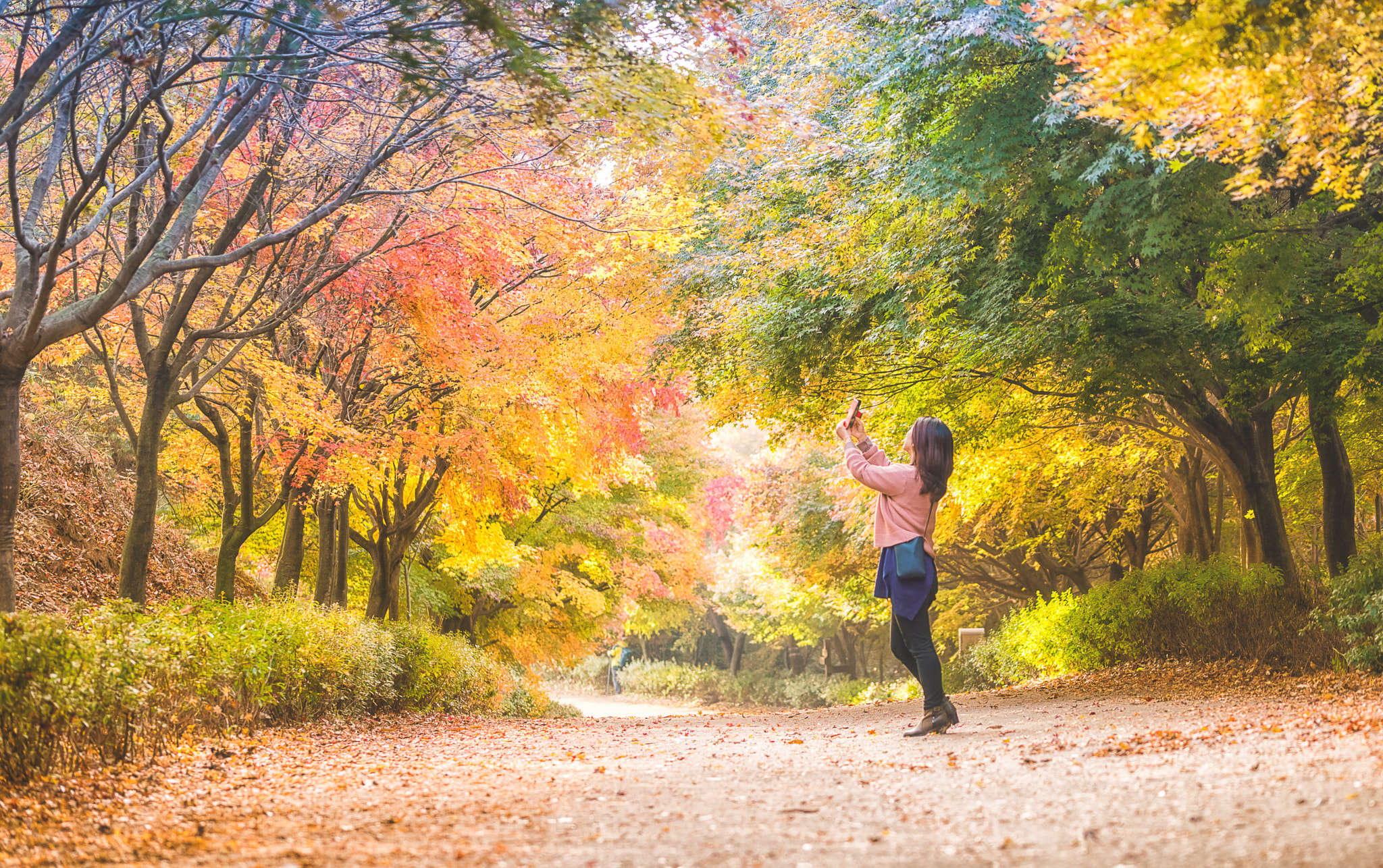Sony a7R sample photo. 편집 photography