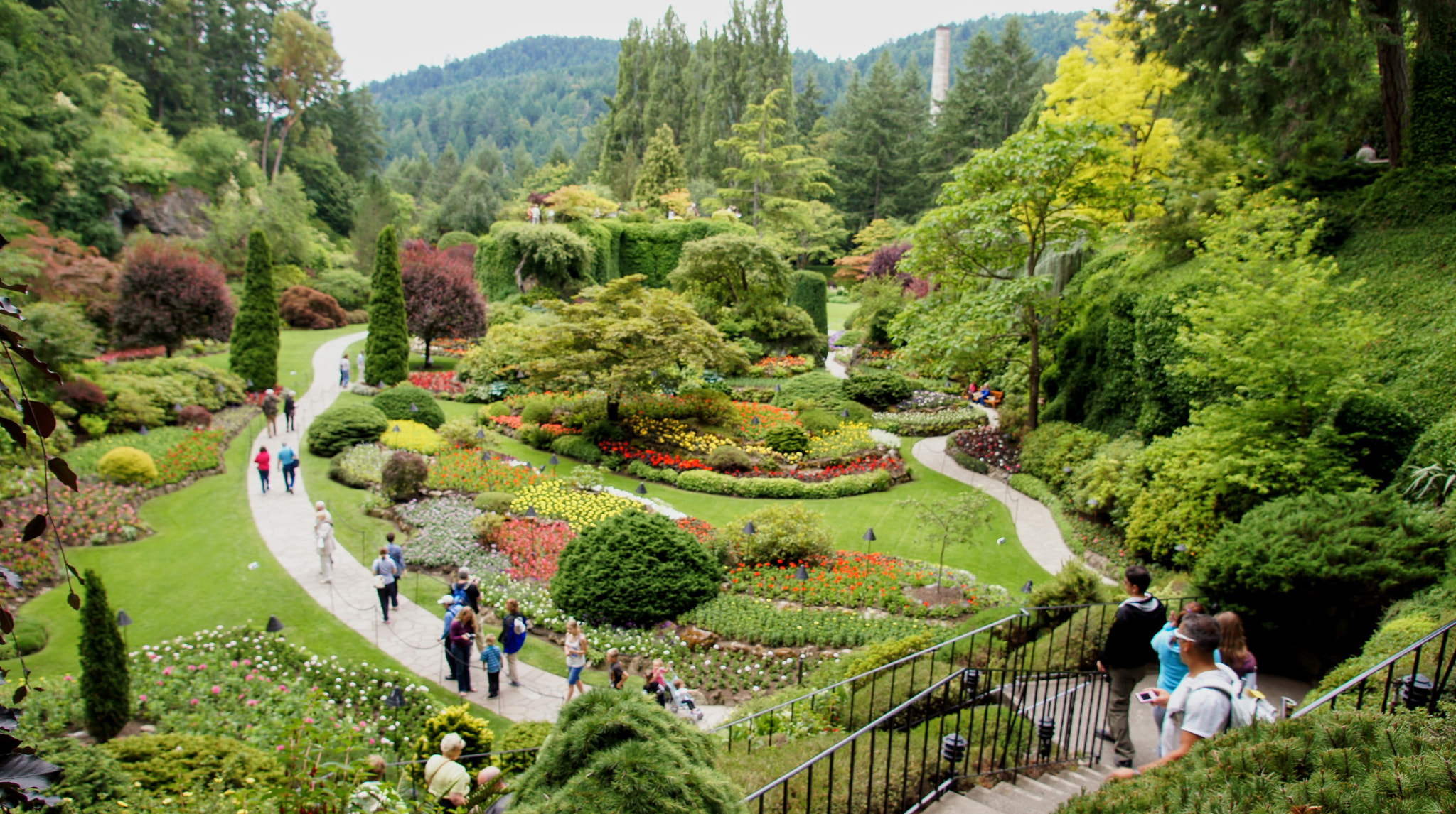 Sony SLT-A33 sample photo. Butchard gardens photography