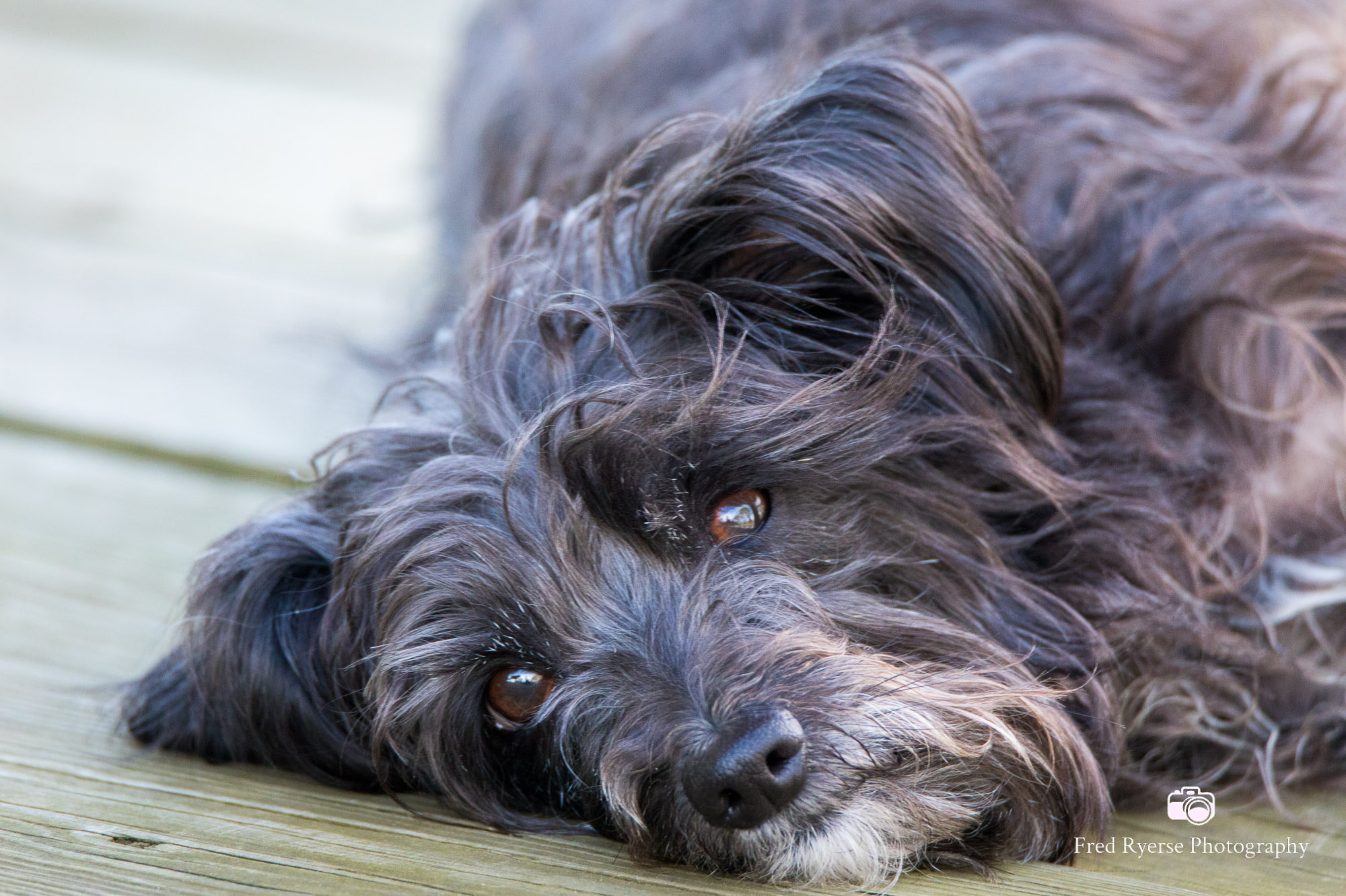 Tamron SP 150-600mm F5-6.3 Di VC USD sample photo. Jake photography
