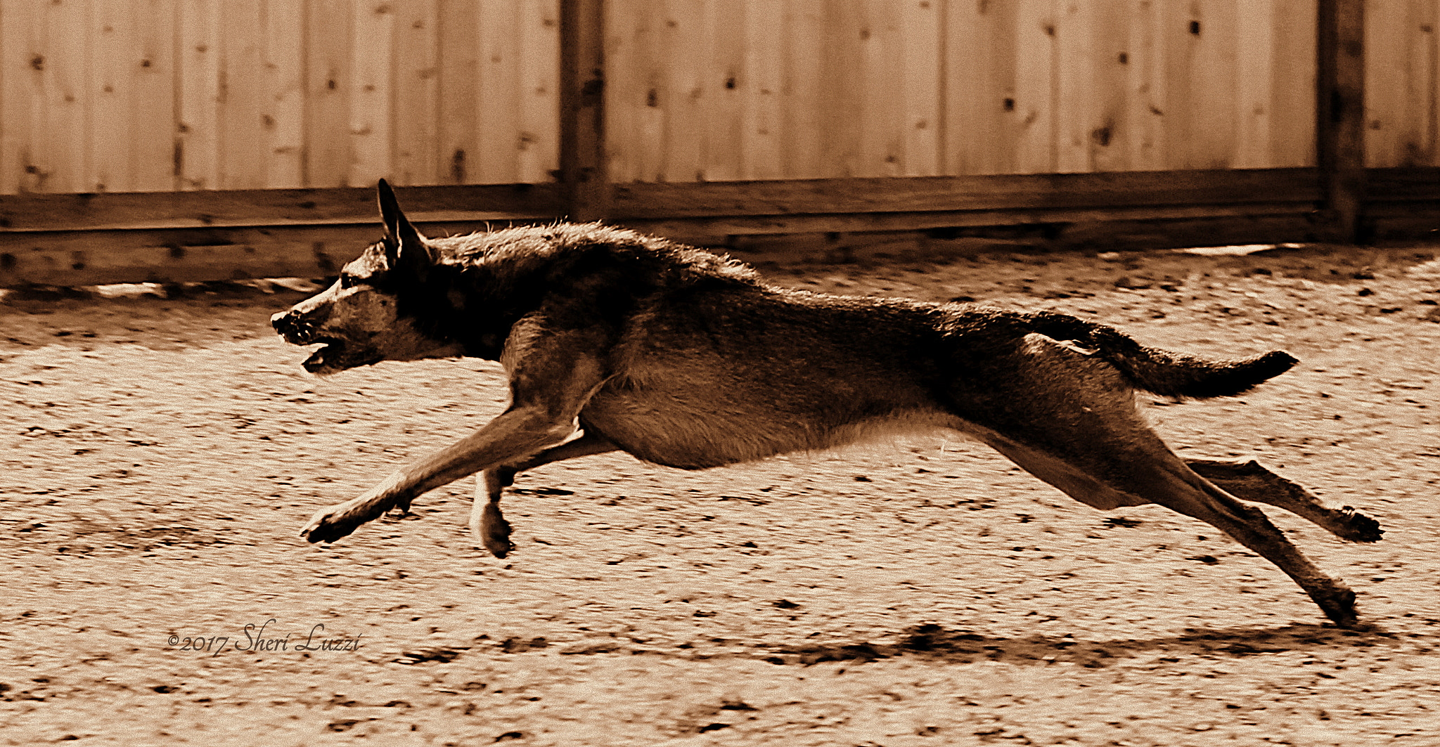 Canon EF 50mm F1.4 USM sample photo. Jenga - capture movement photography