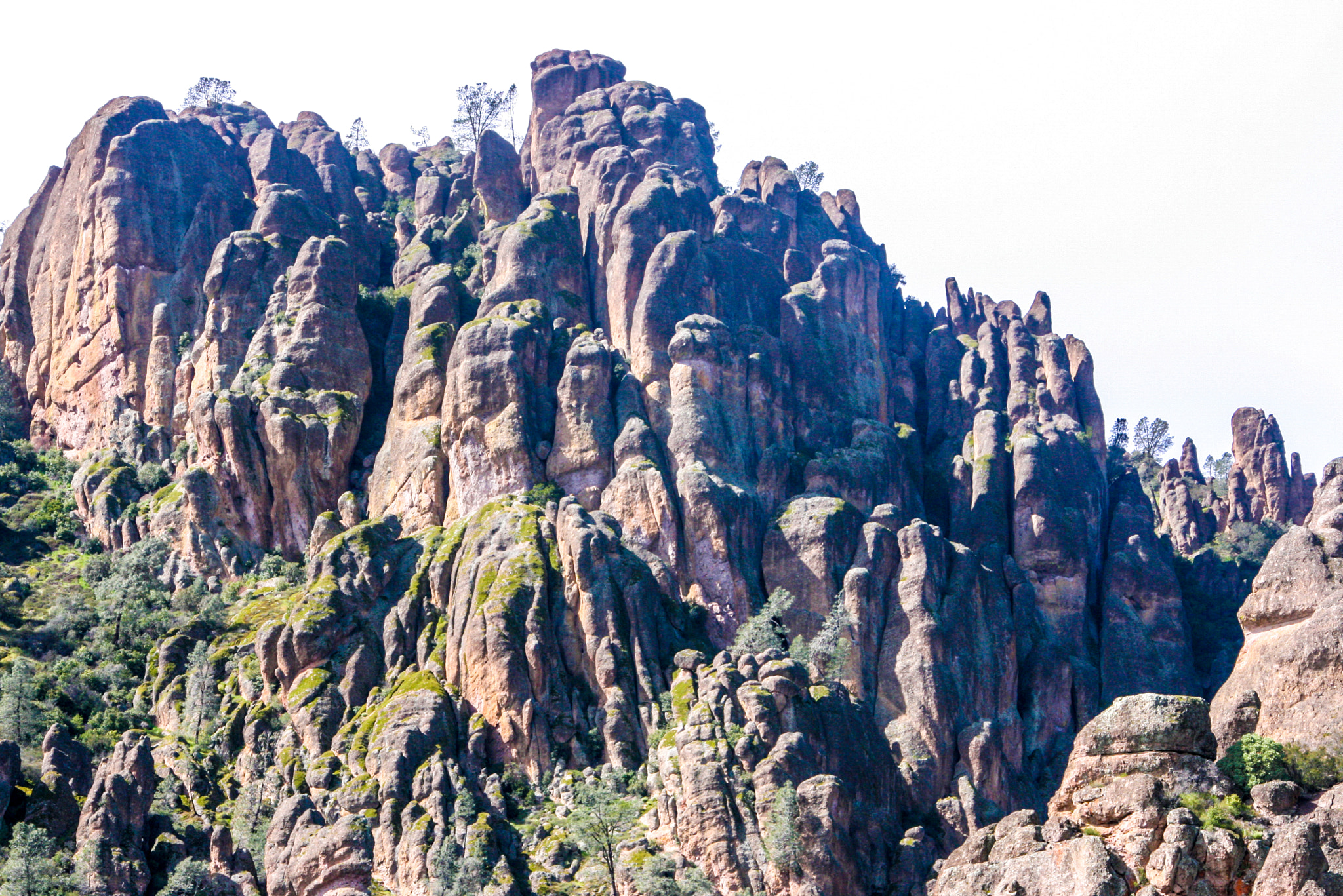 Canon TS-E 90mm F2.8 Tilt-Shift sample photo. Pinnacles national park photography