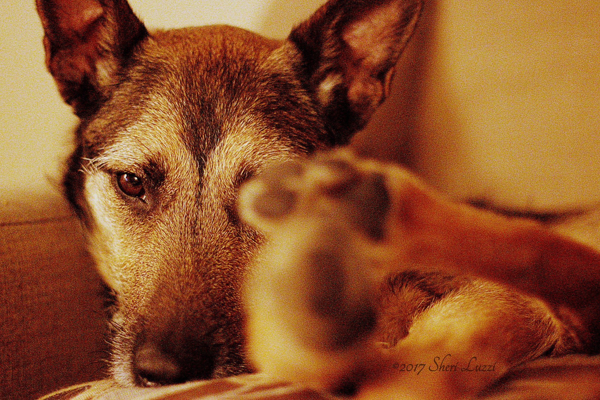 Canon EF 50mm F1.4 USM sample photo. Jenga - create depth photography