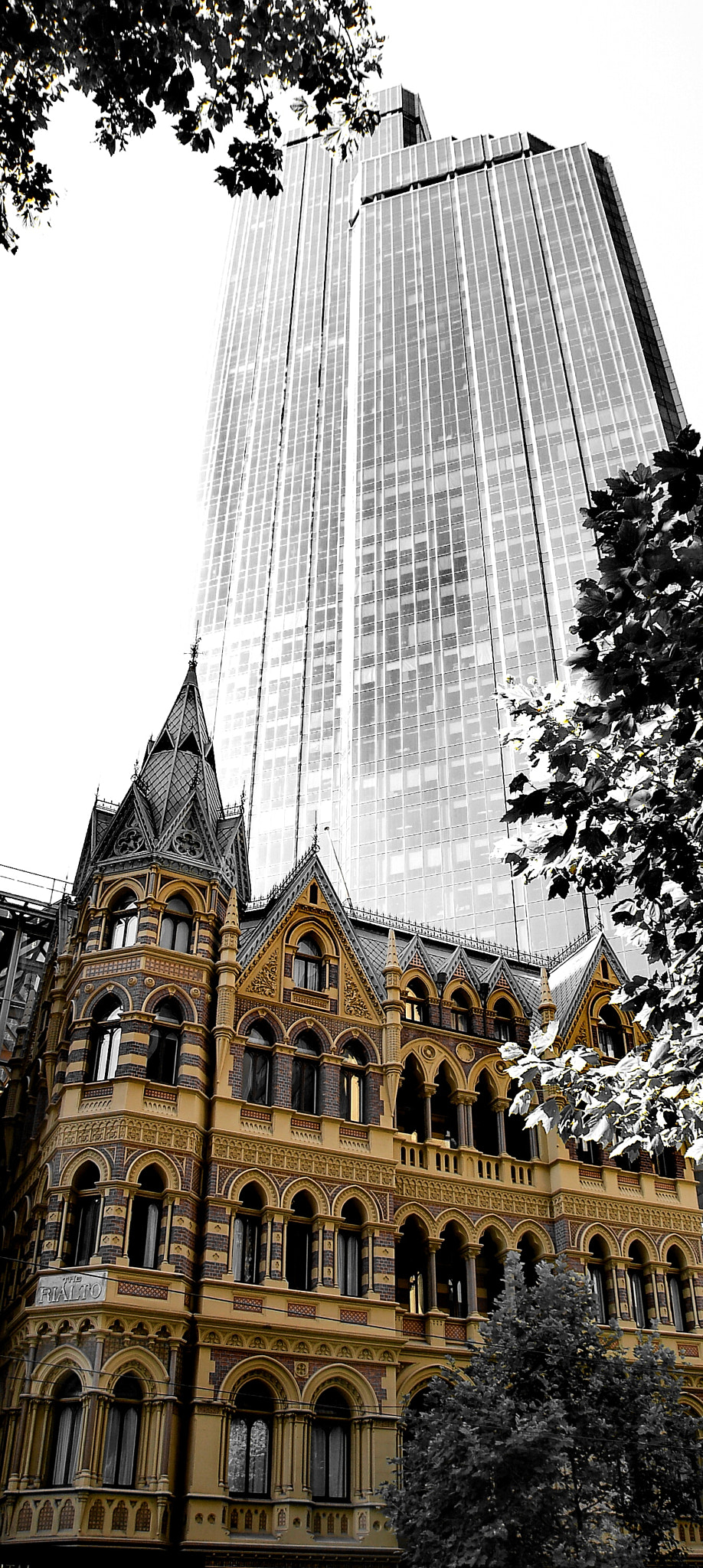 Nikon D50 sample photo. Cohabitation  photography