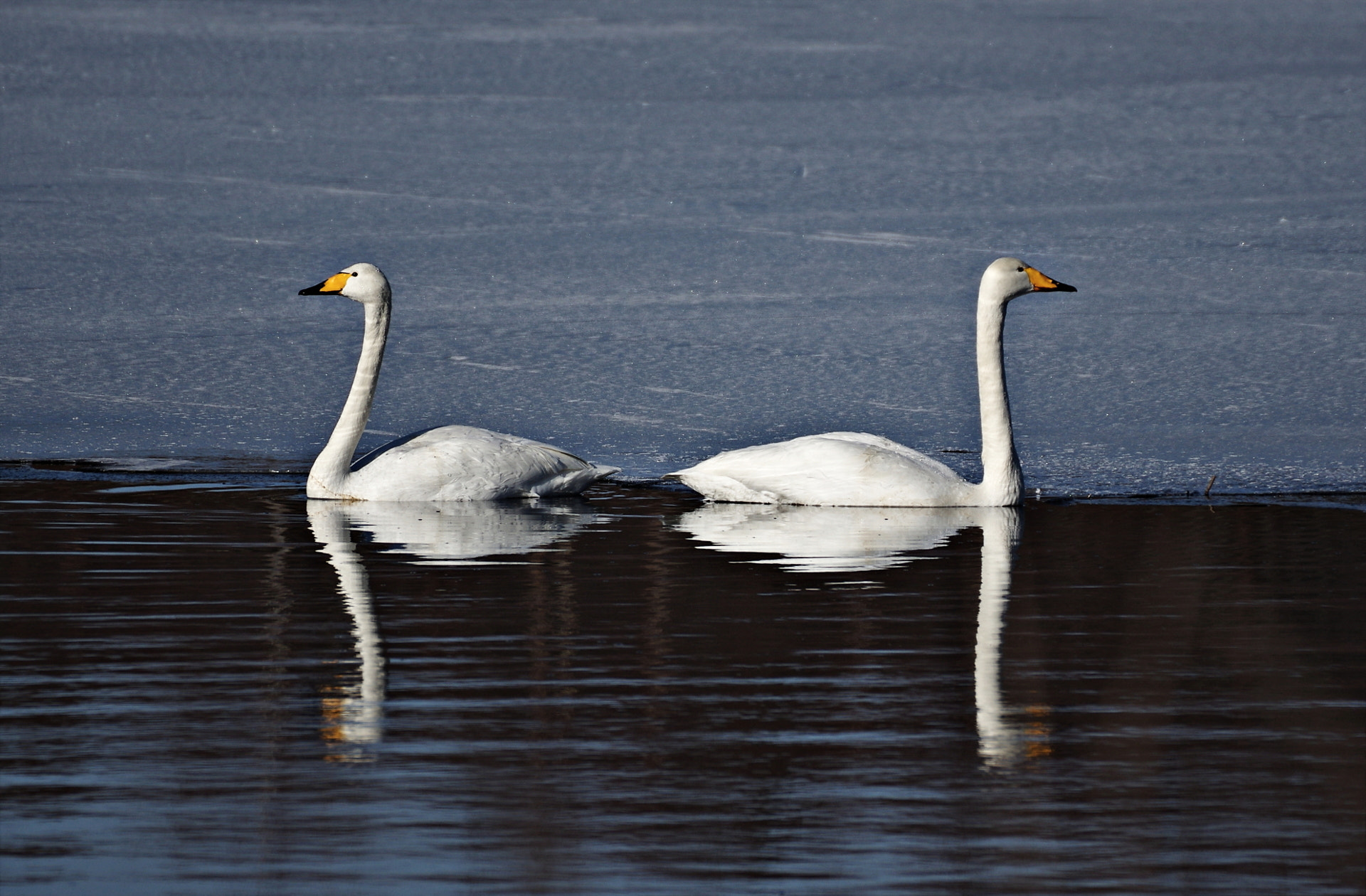 Pentax K-3 II sample photo. Facing photography