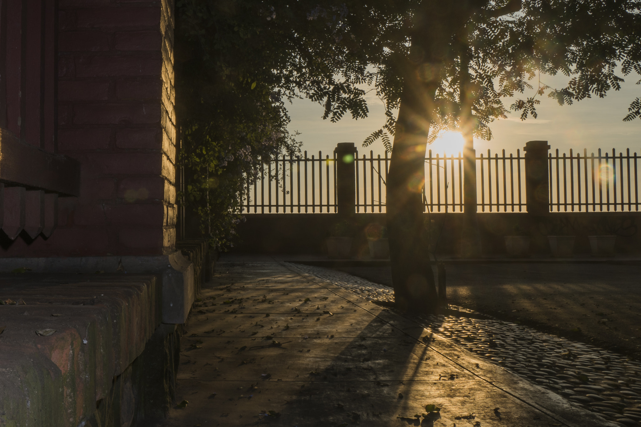 Sony a7R II + Sony DT 18-250mm F3.5-6.3 sample photo. Sunset on the other side of the fence photography