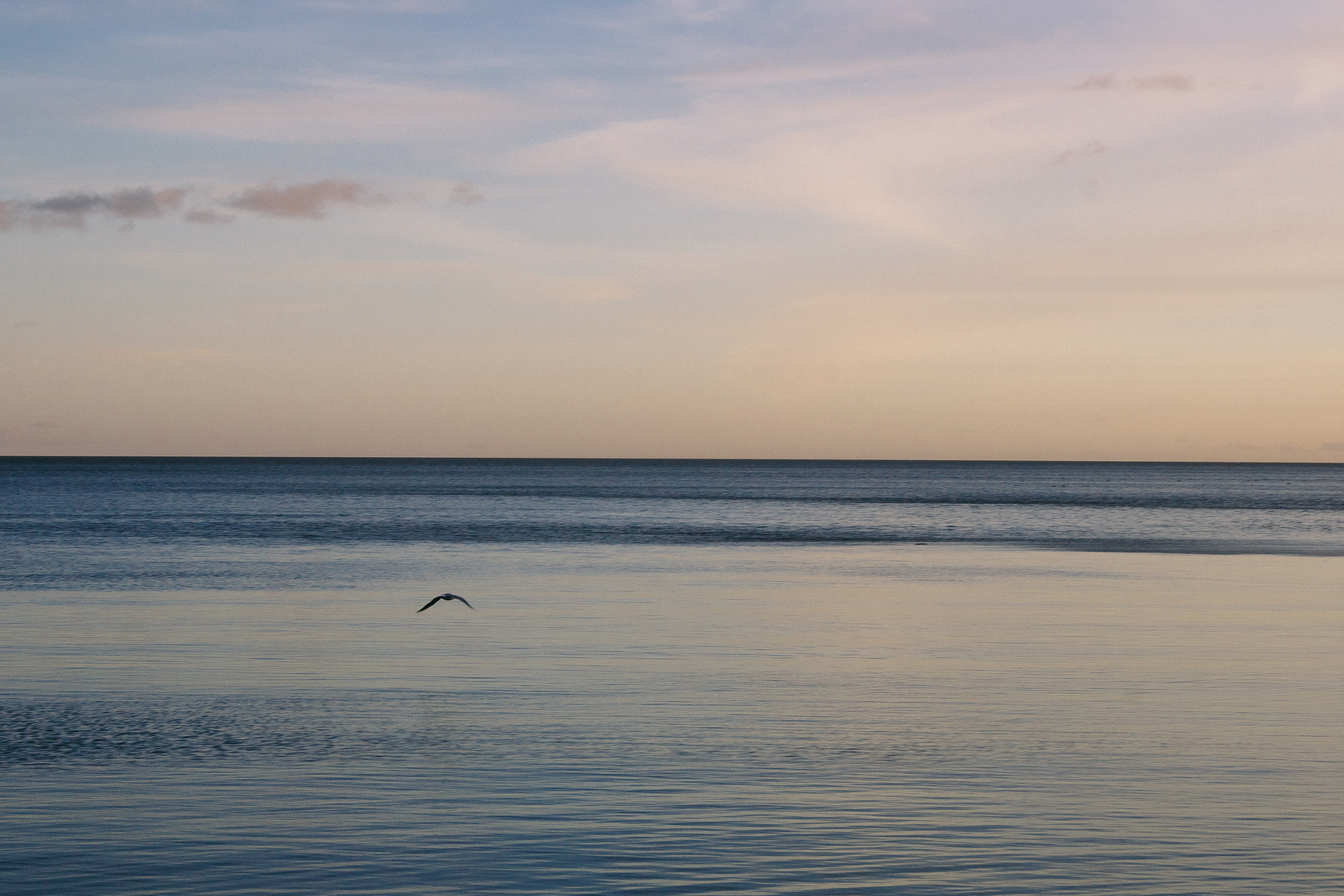 Canon EF-S 18-55mm F3.5-5.6 II sample photo. Evenings in the lagoon  photography