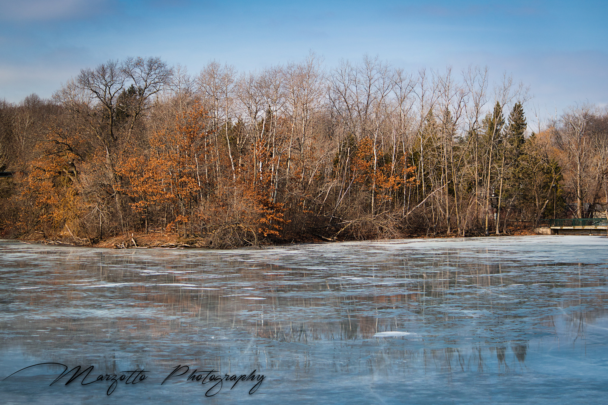 Canon EF-S 55-250mm F4-5.6 IS II sample photo. Frozen lake at the zoo photography