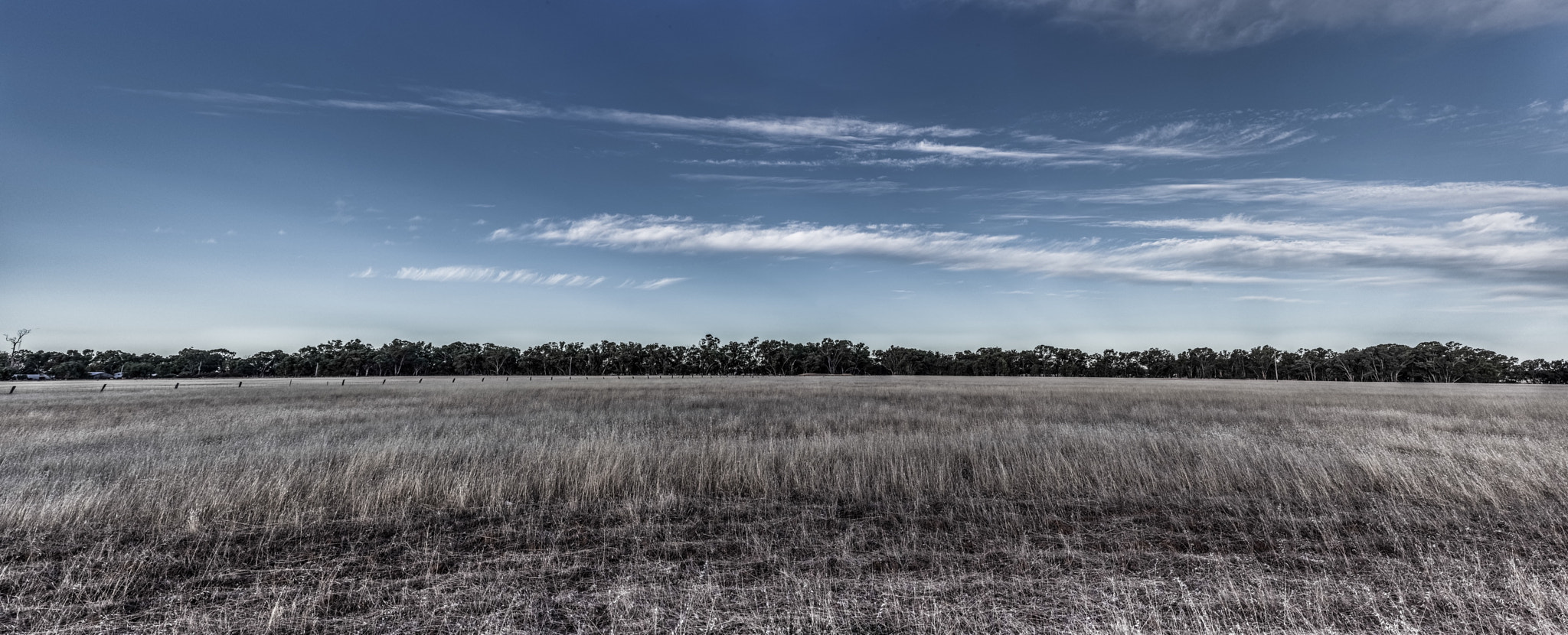 Pentax K-1 sample photo. Open field photography