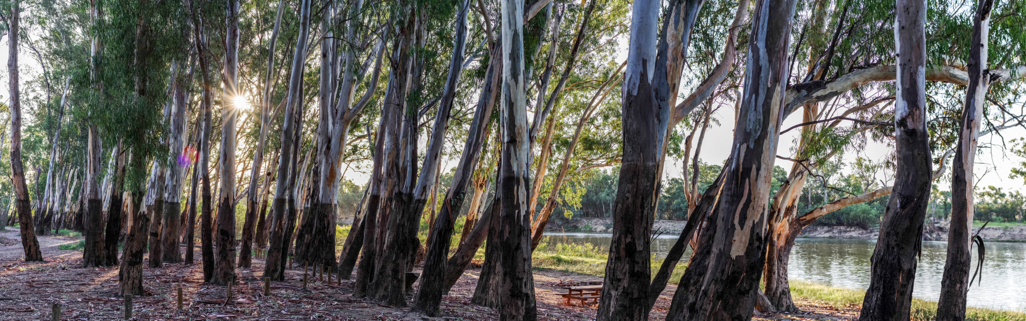 Pentax K-1 sample photo. Post flood photography