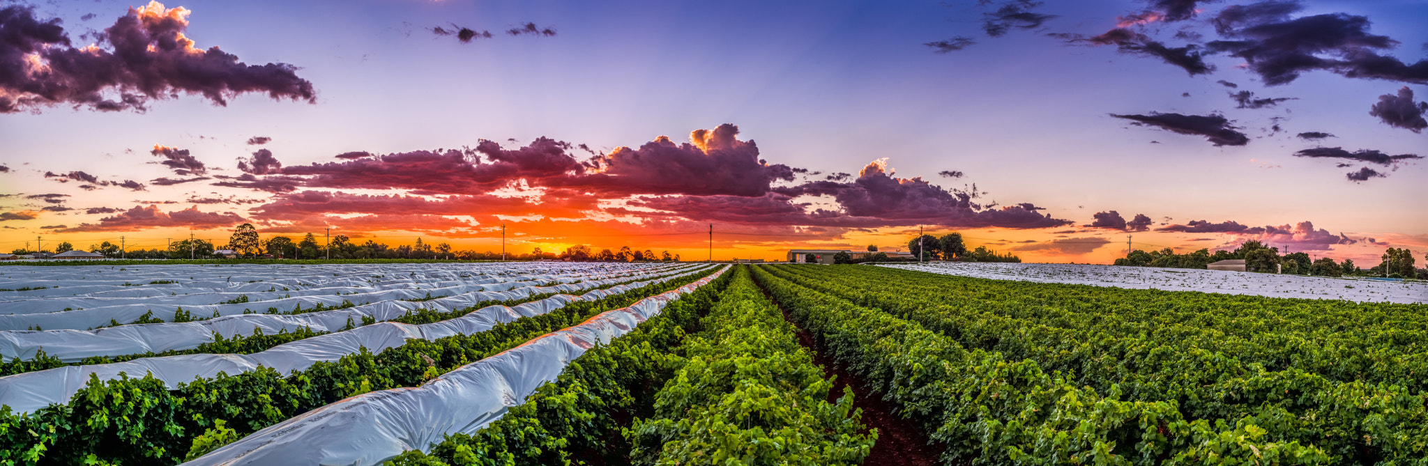 Pentax K-1 sample photo. Mildura sunset photography