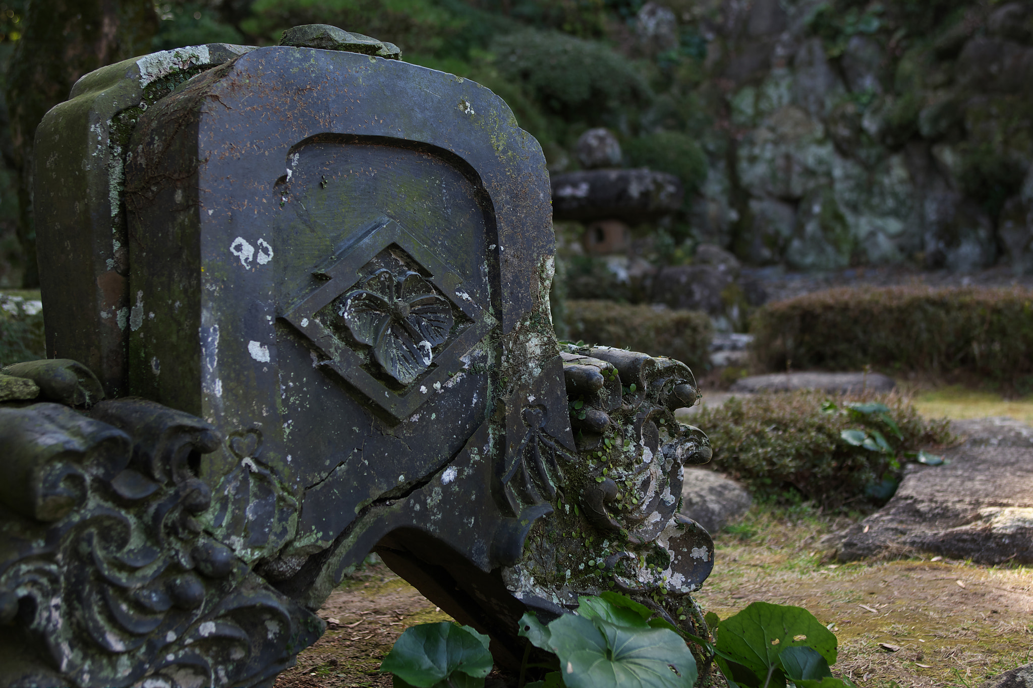 EF28-70mm f/2.8L USM sample photo. Roof tile in a garden photography
