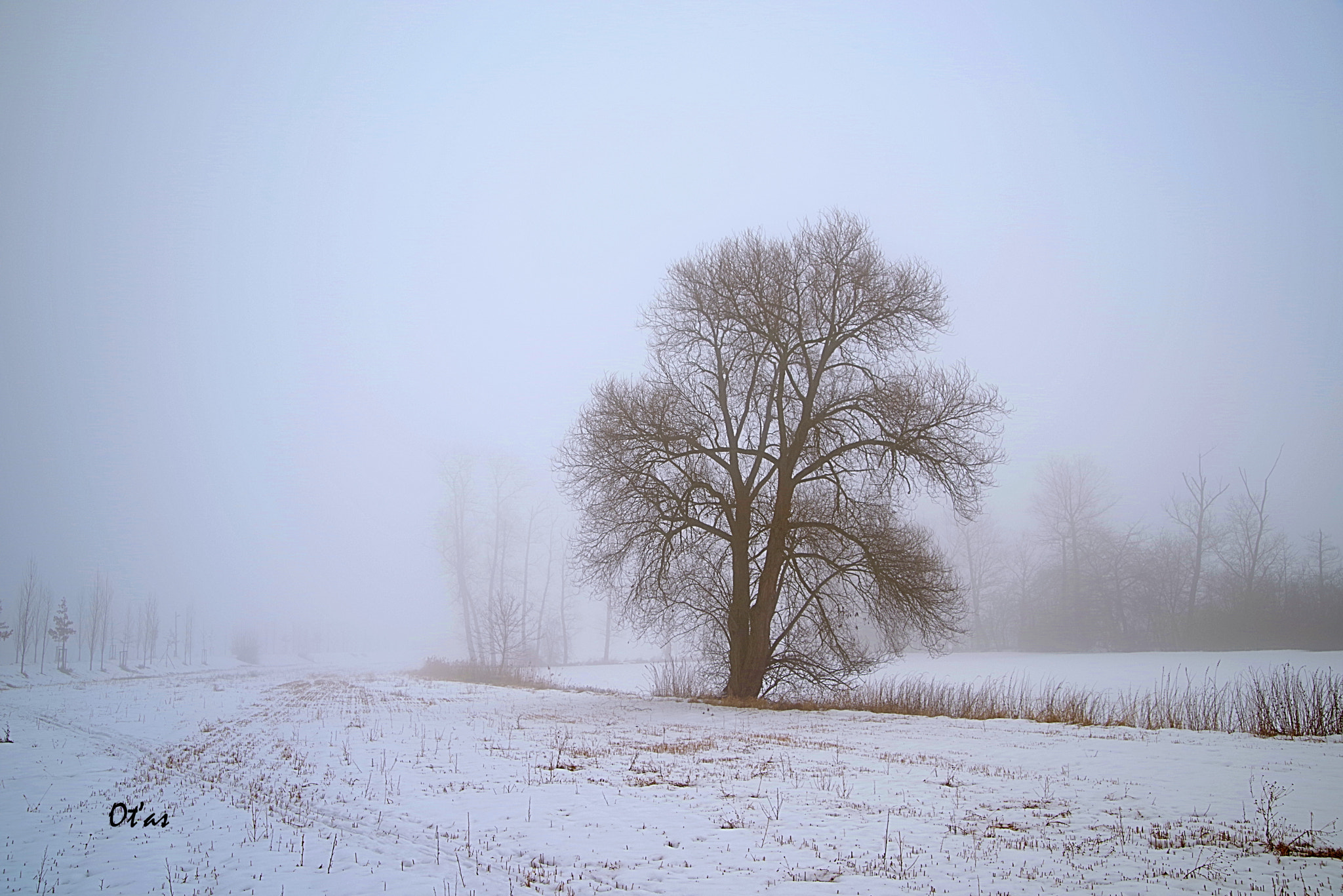 Pentax K-1 sample photo. Winter photography