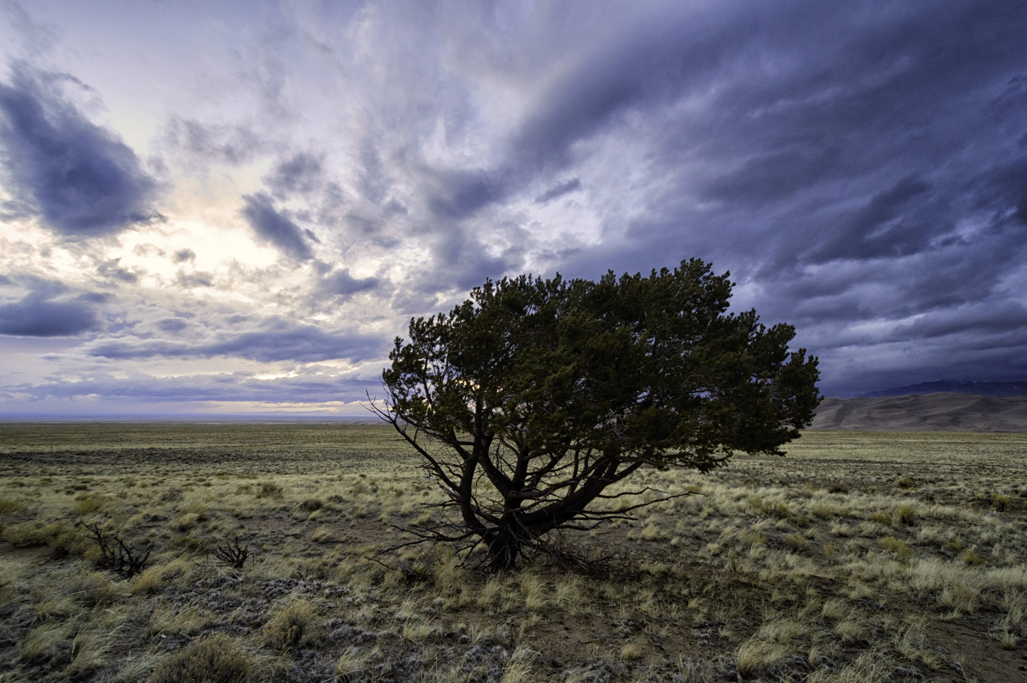 Nikon D3200 sample photo. There is a storm coming photography