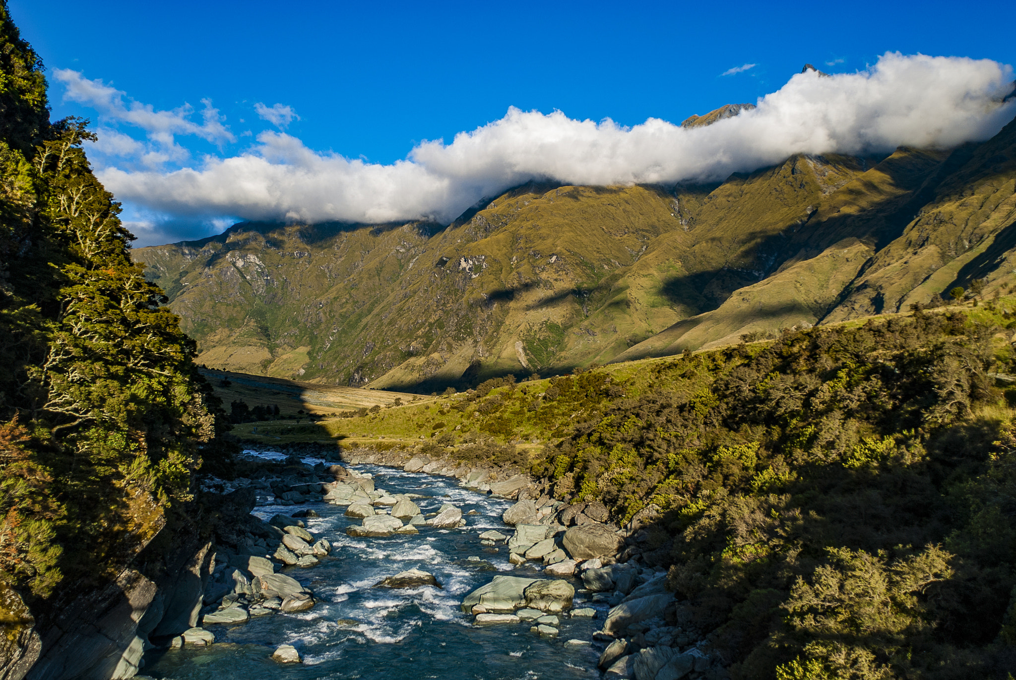 AF Nikkor 20mm f/2.8 sample photo. Aotearoa true to its name photography