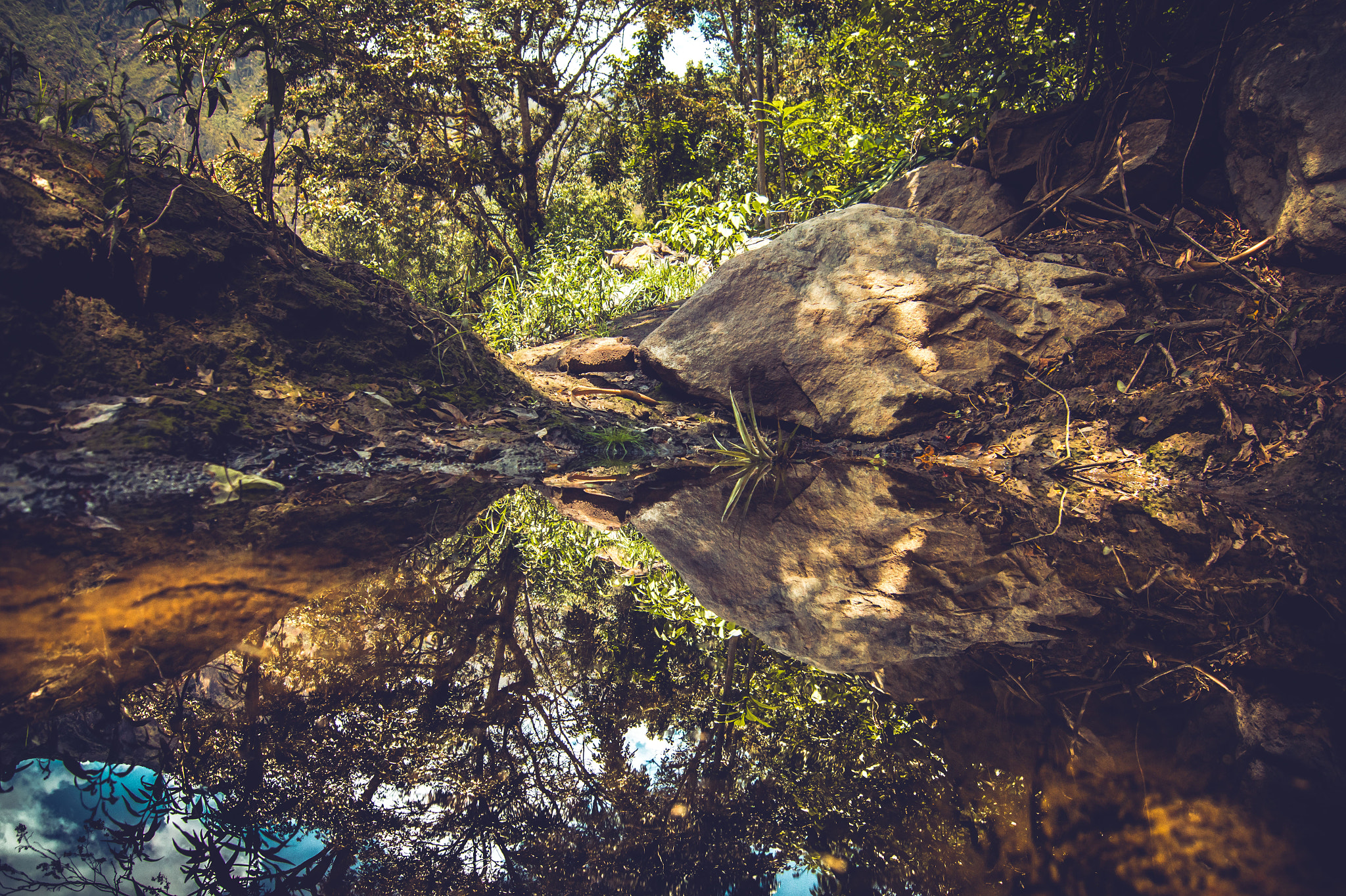 Canon EOS 60D sample photo. Piedra reflejada en el lago photography