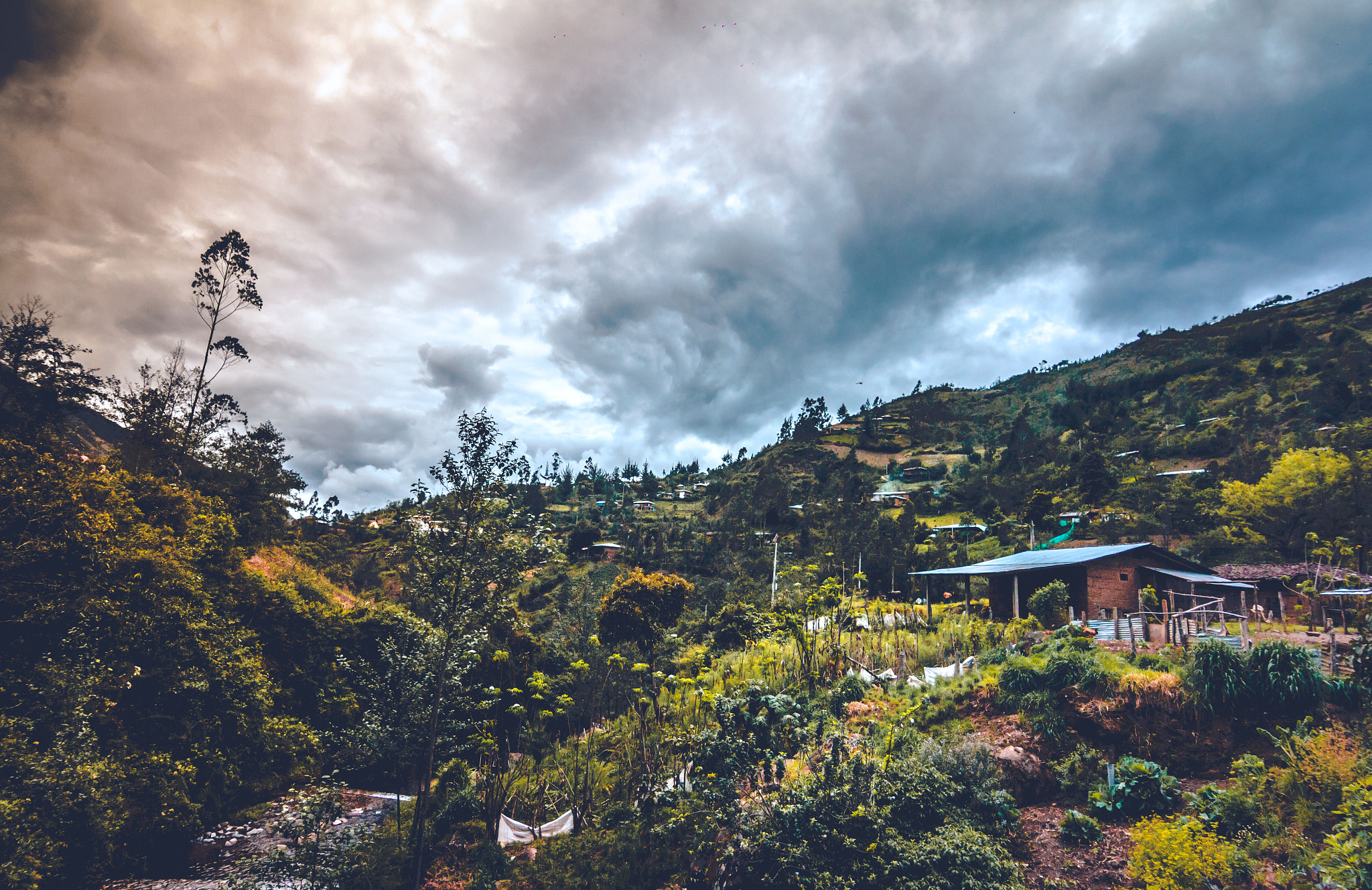 Canon EOS 60D sample photo. Amazonas photography